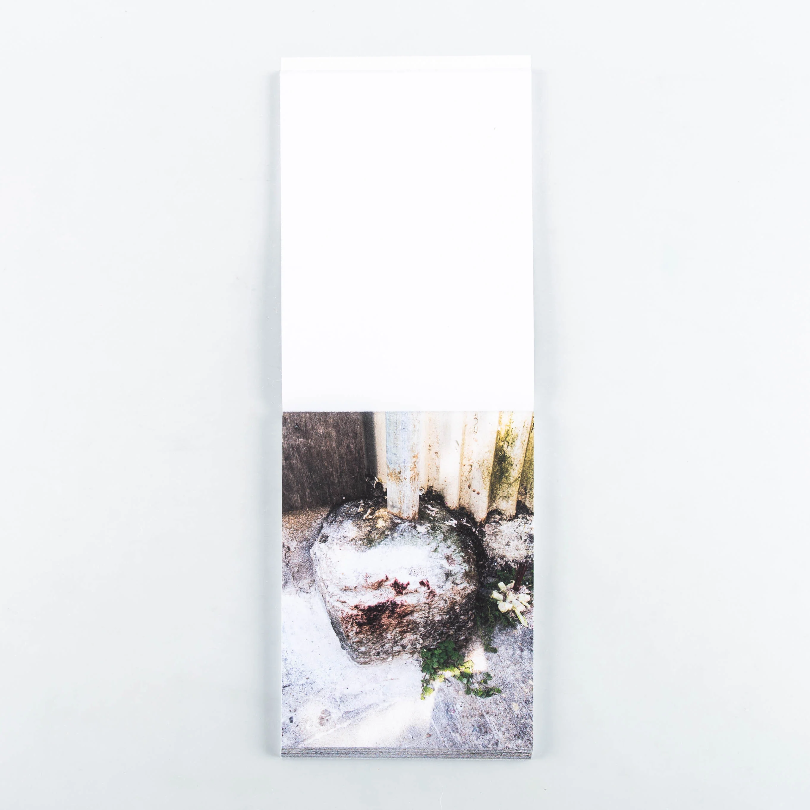 One a Day - Image 4