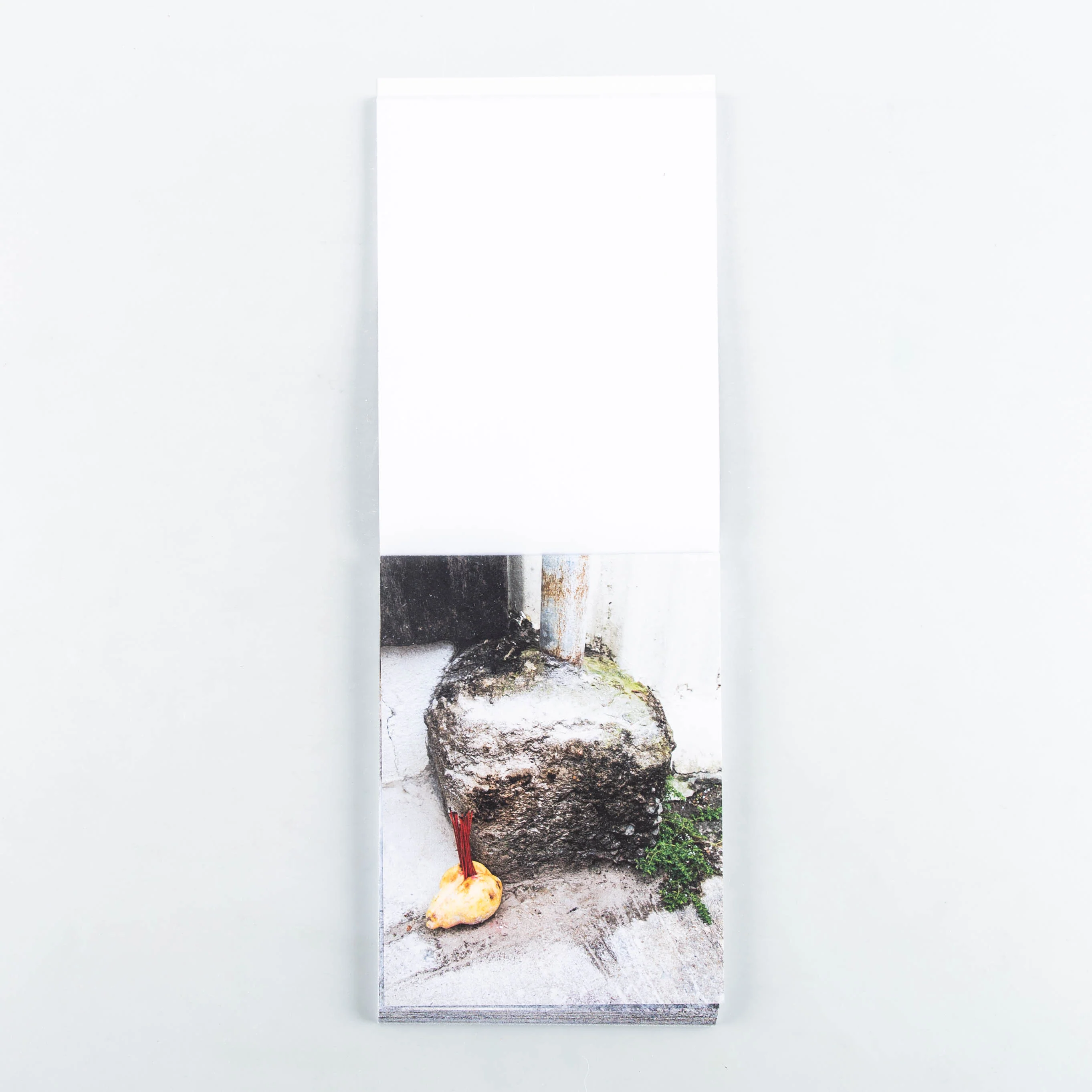 One a Day - Image 5