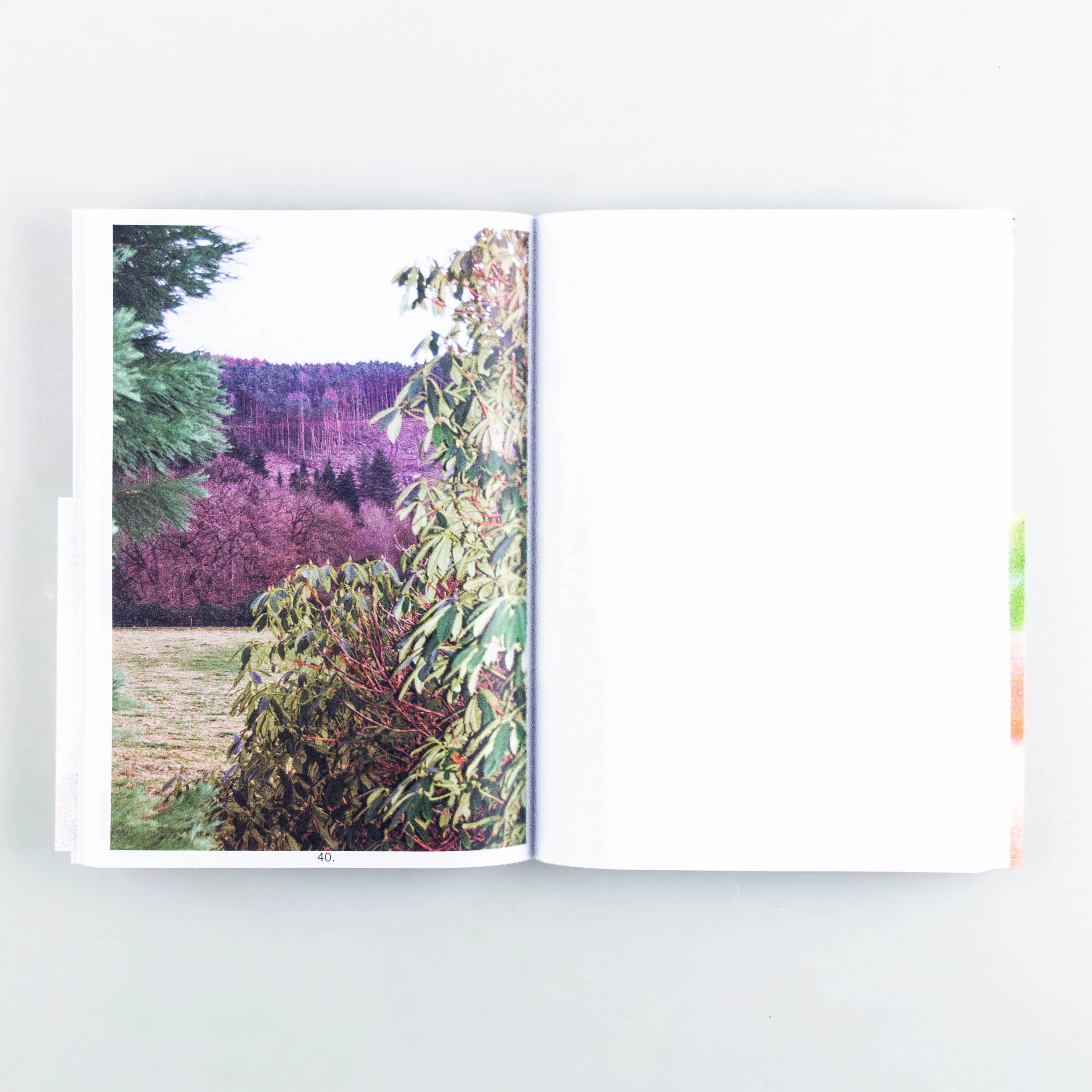 One & Four - Image 3