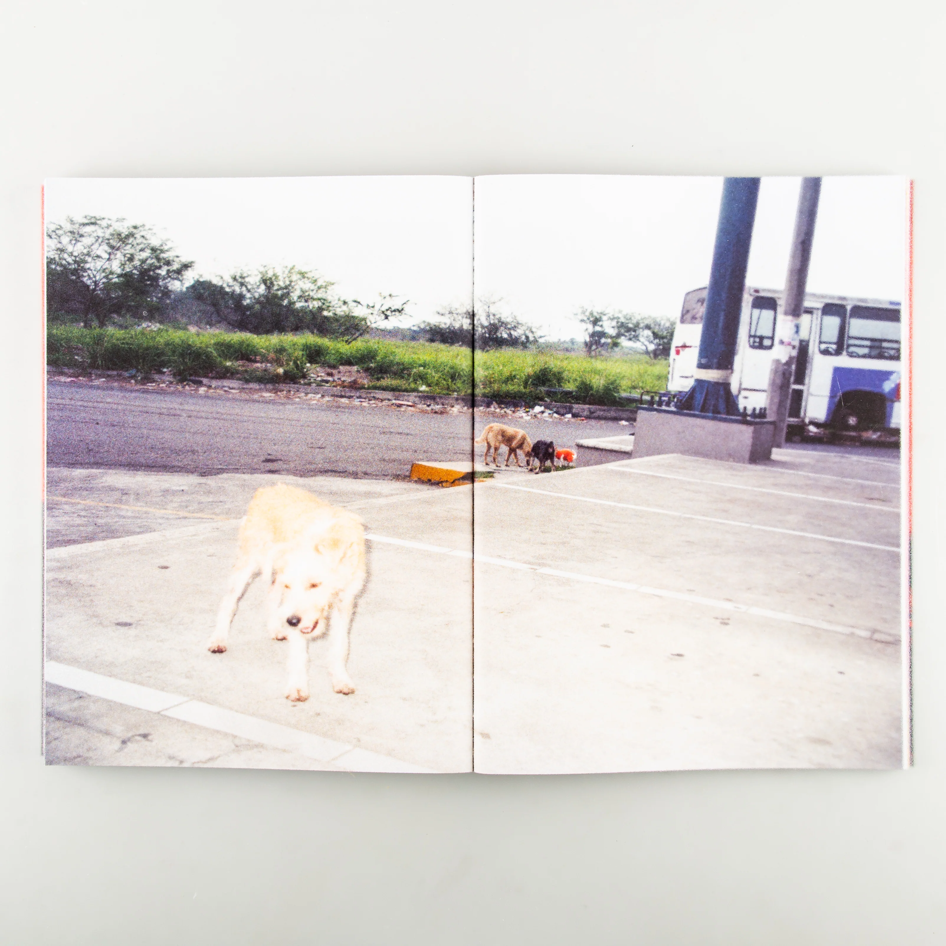Only Have Faith - Image 5