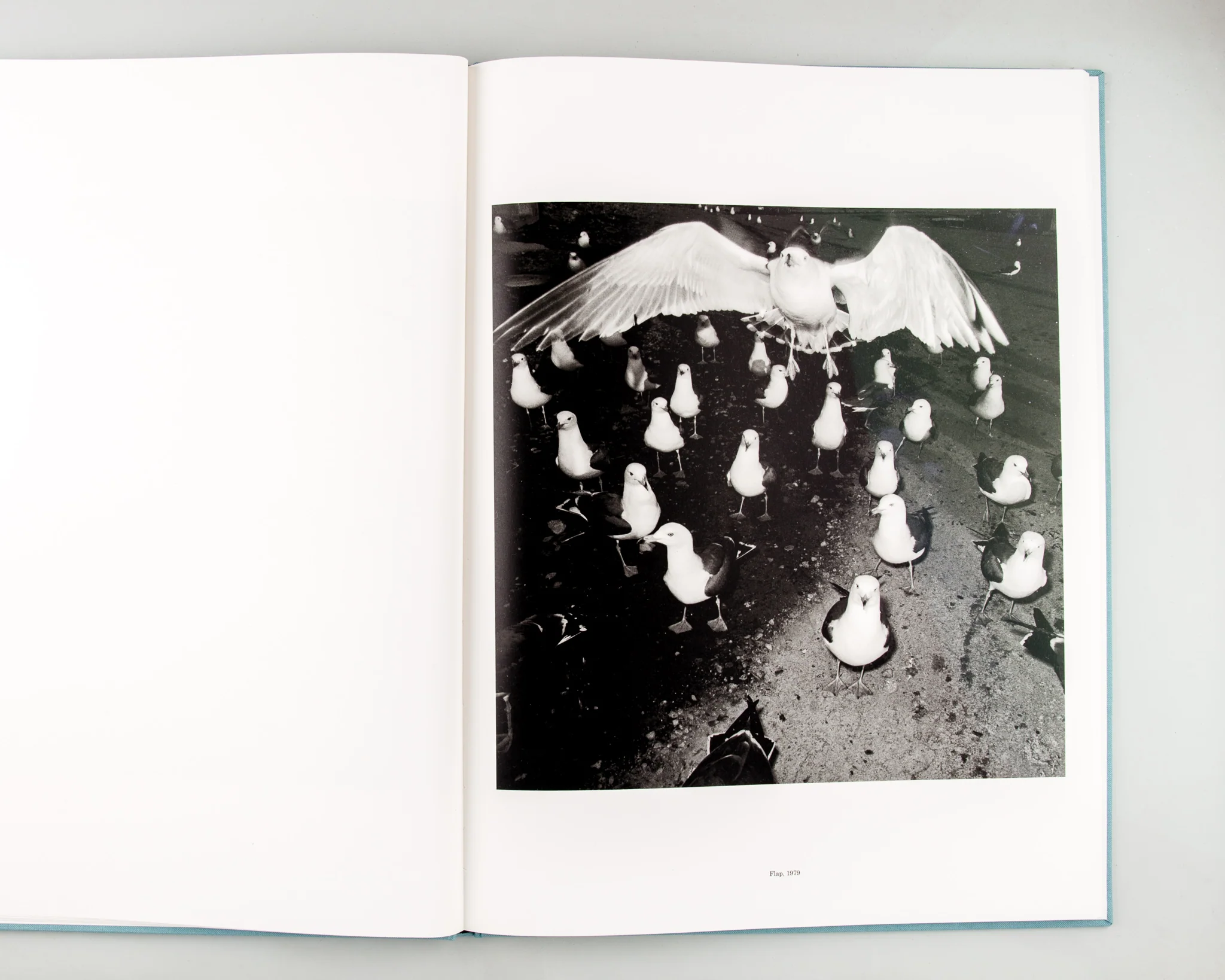 ORIGIN - Image 4