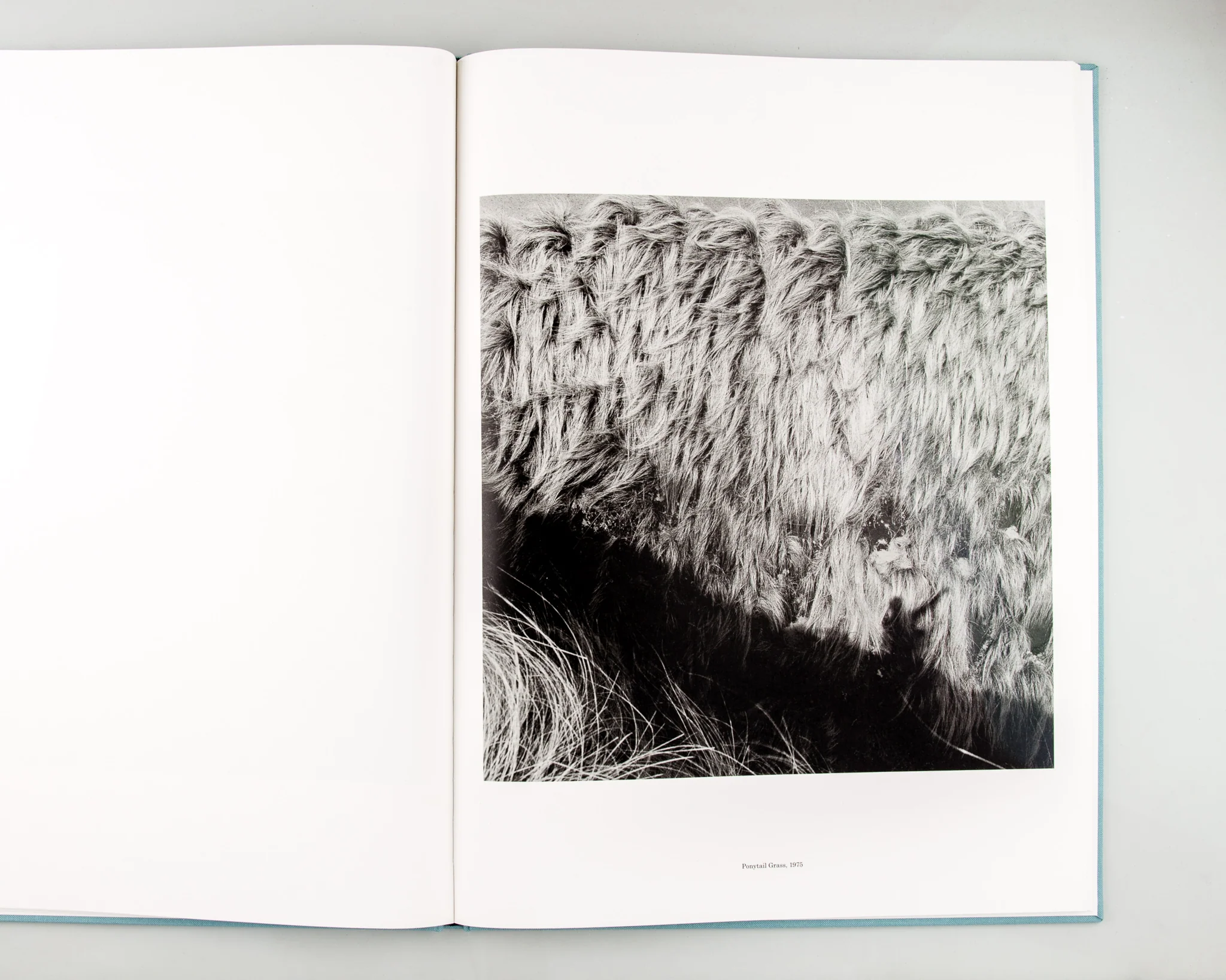 ORIGIN - Image 6