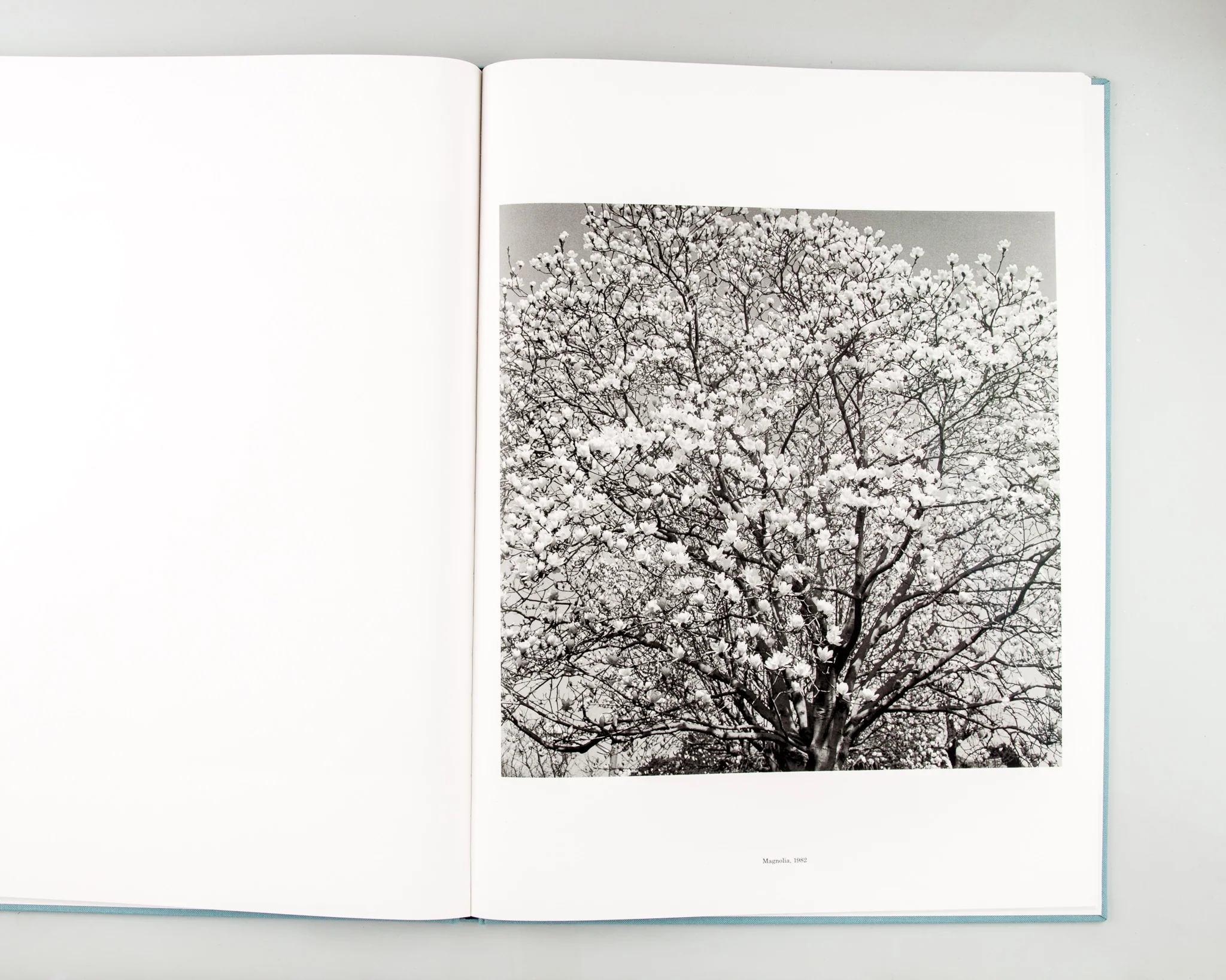 ORIGIN - Image 7