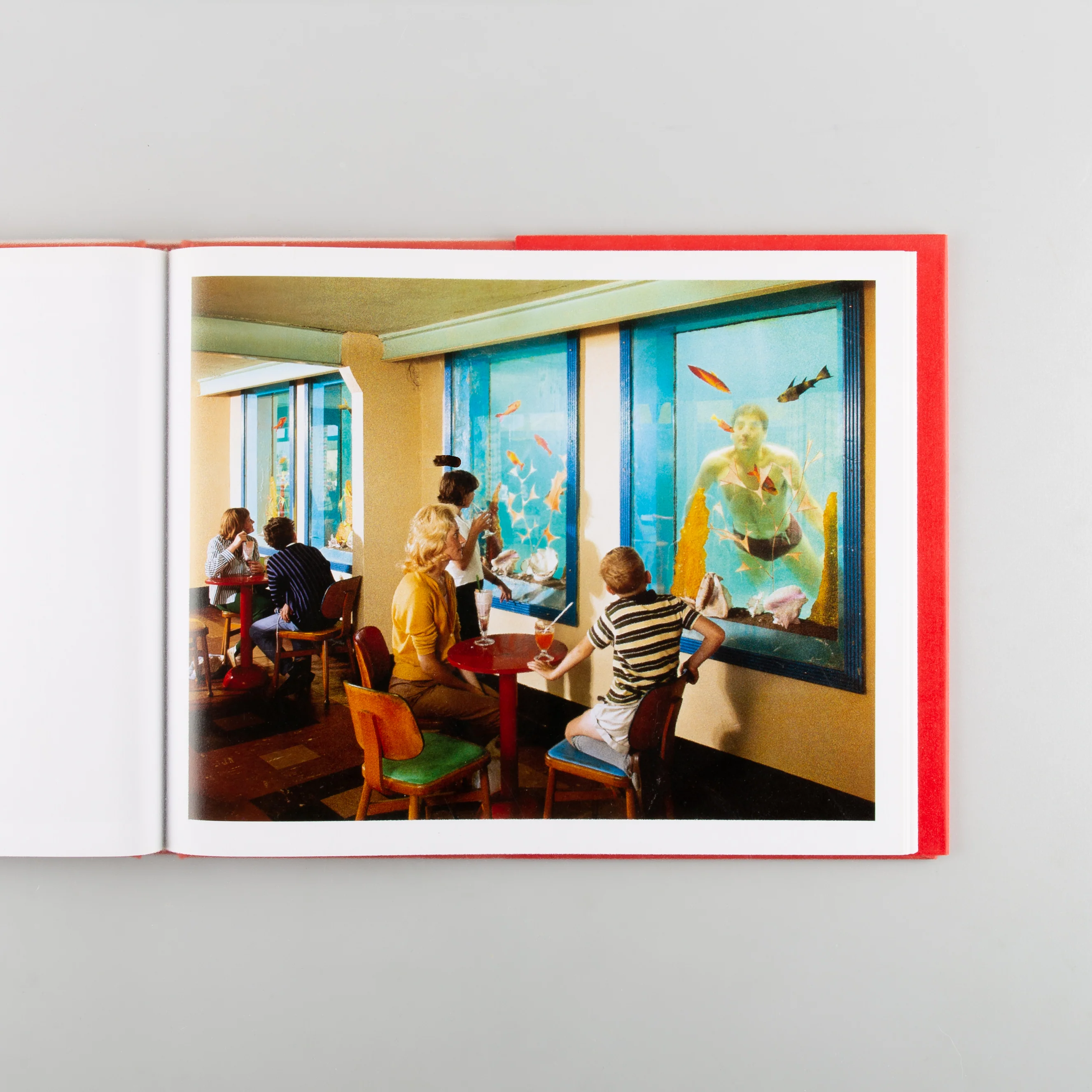 OUR TRUE INTENT IS ALL FOR YOUR DELIGHT - Image 2