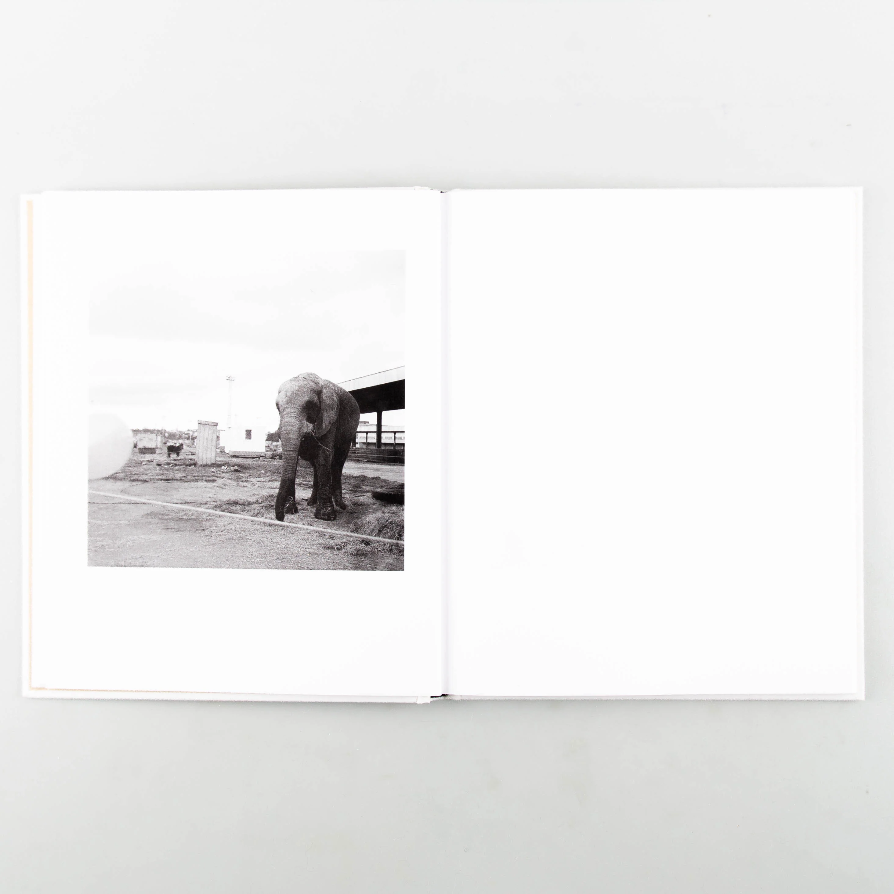 P.North - Image 7