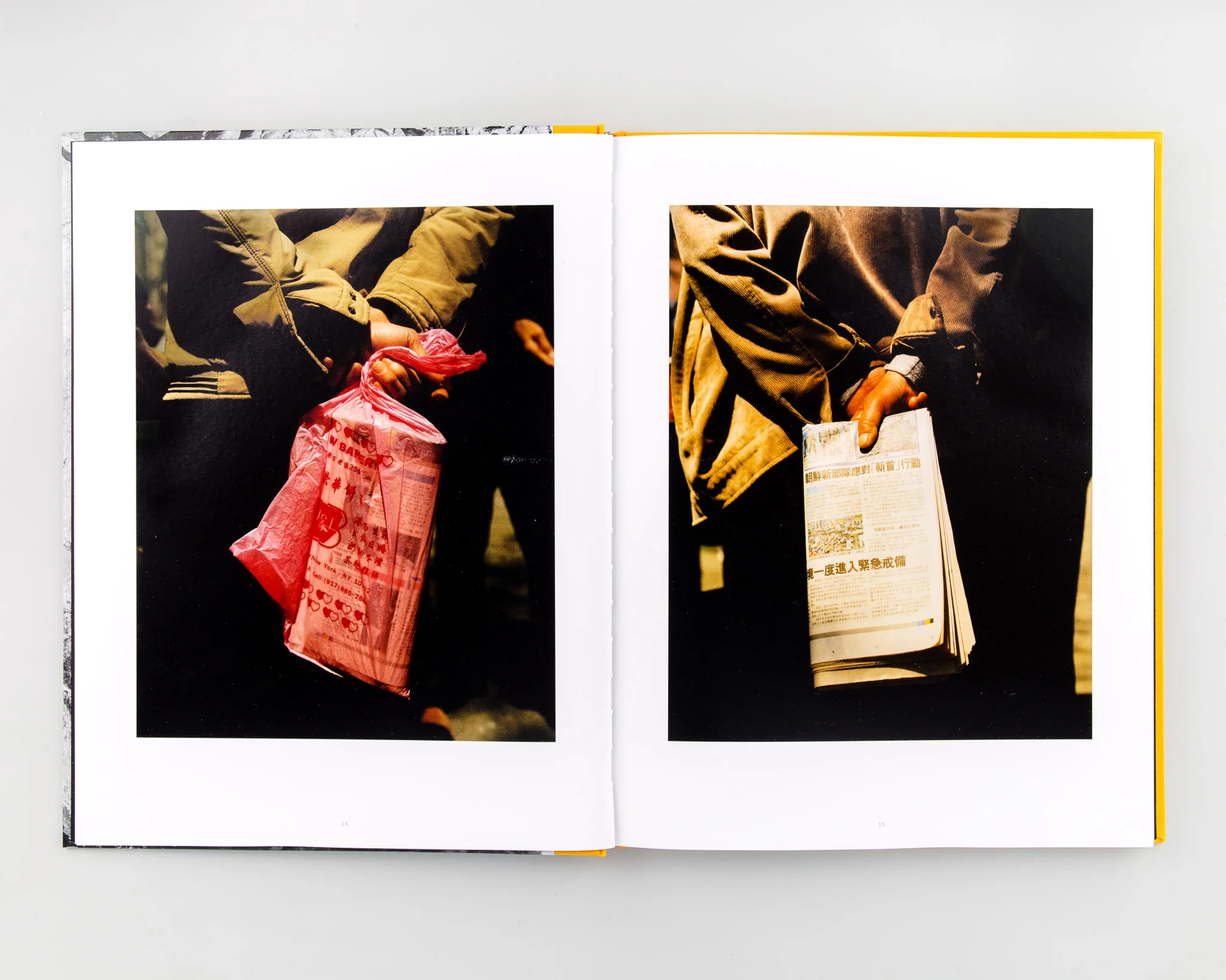 Palm Book - Image 3