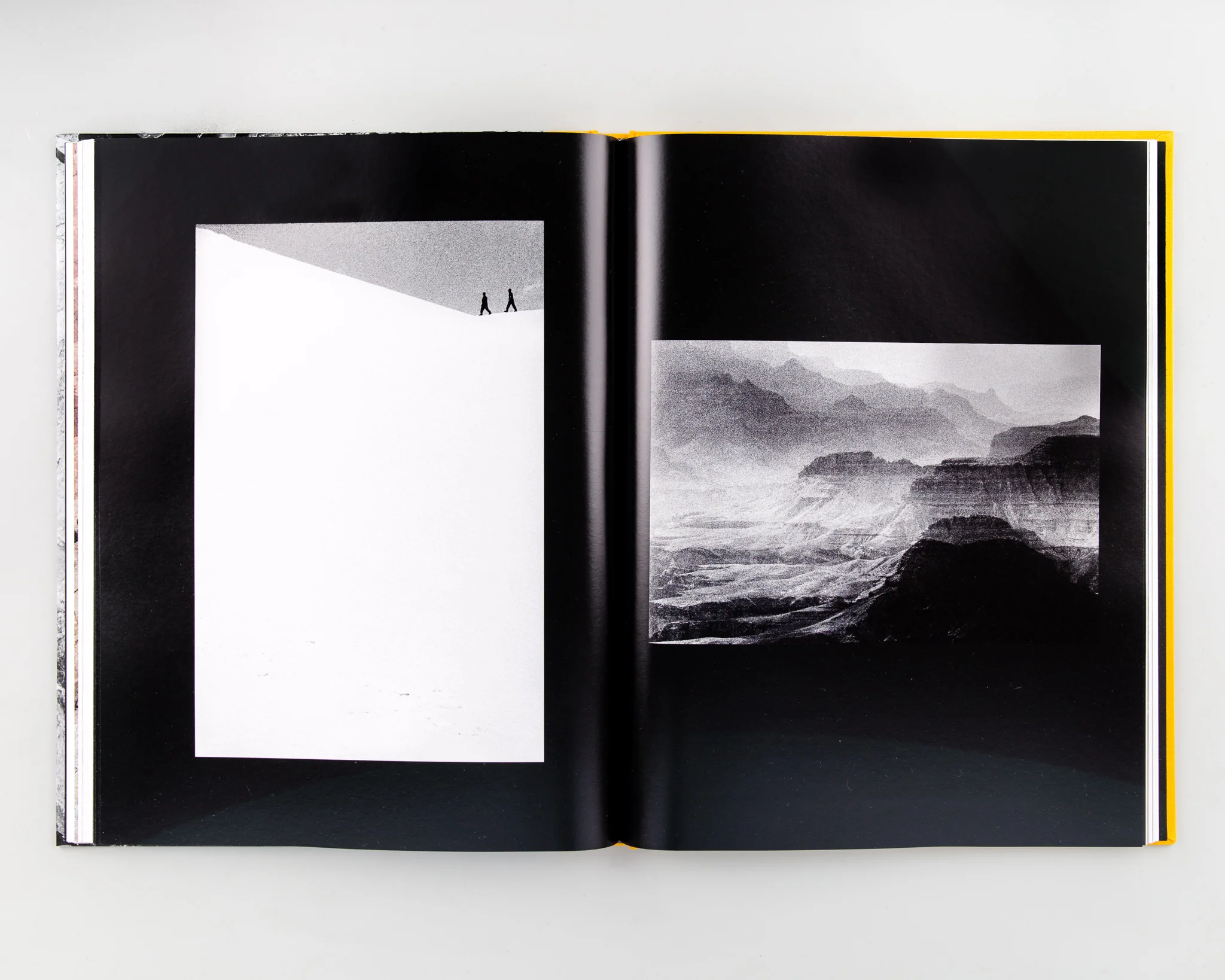 Palm Book - Image 6