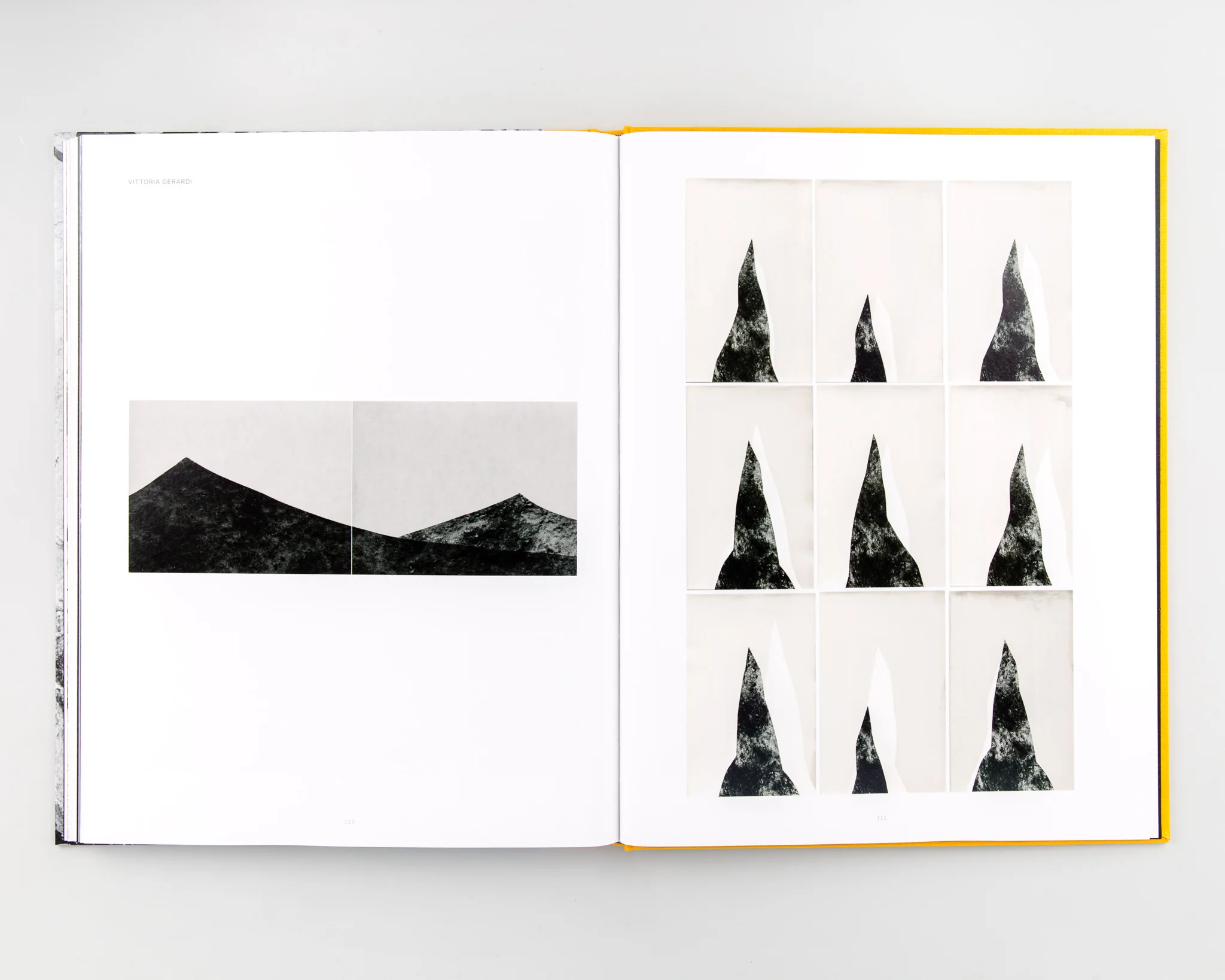 Palm Book - Image 8