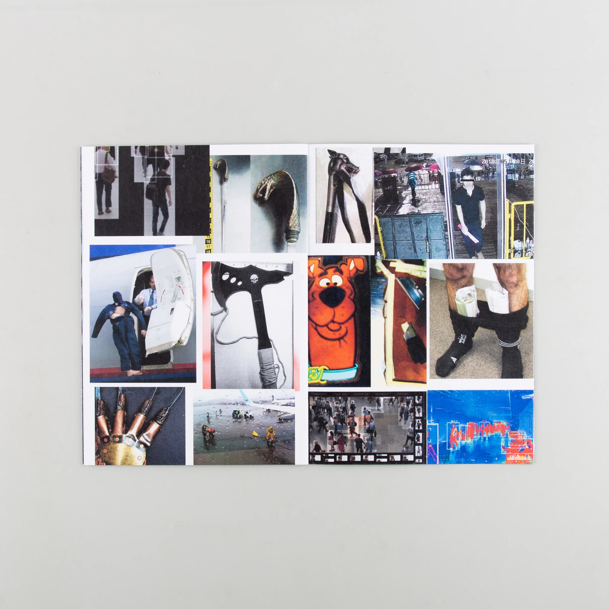 Panoptic - Image 2