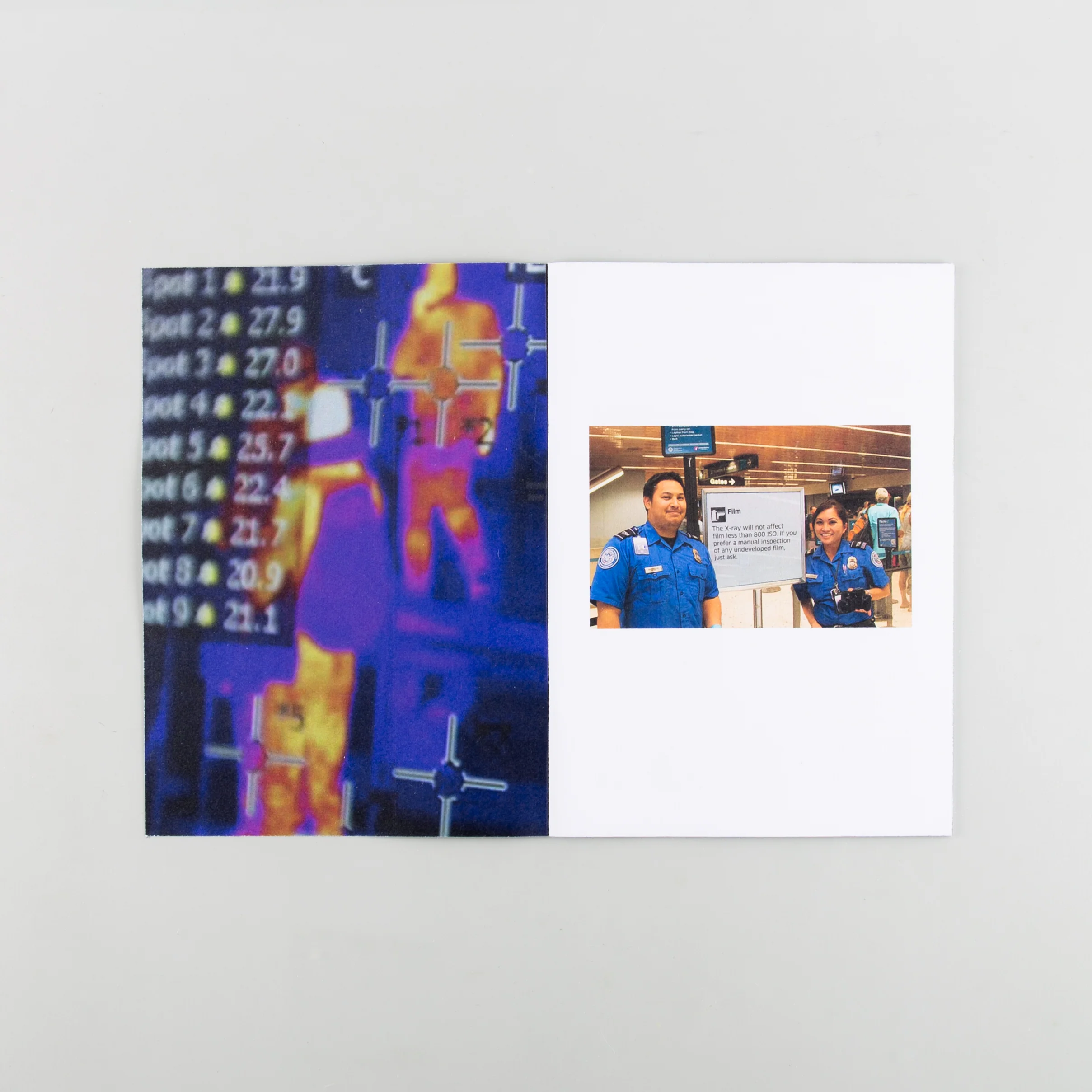 Panoptic - Image 8