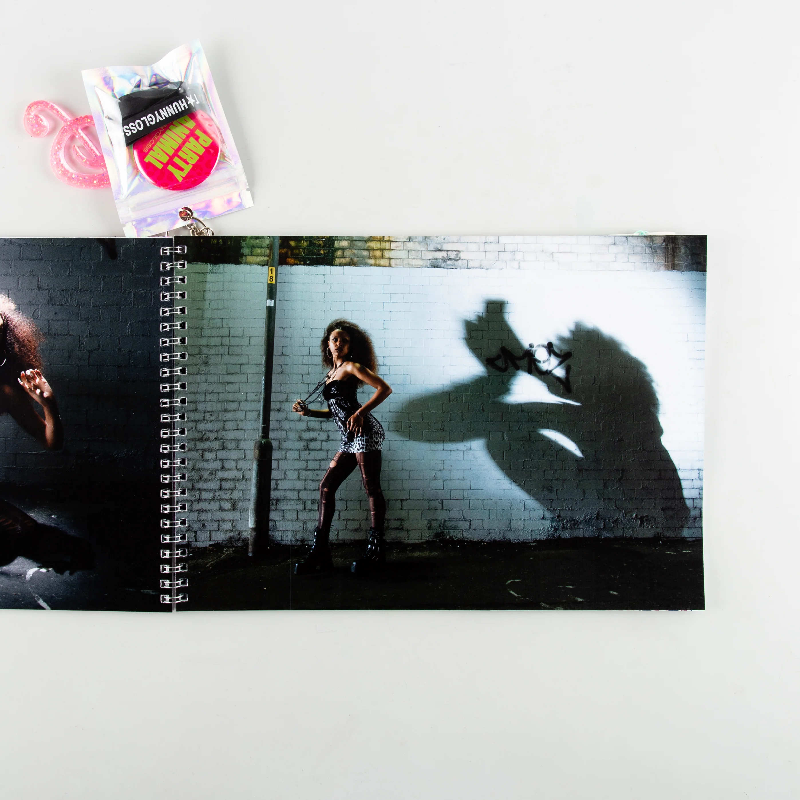 Party Animal Zine - Image 9