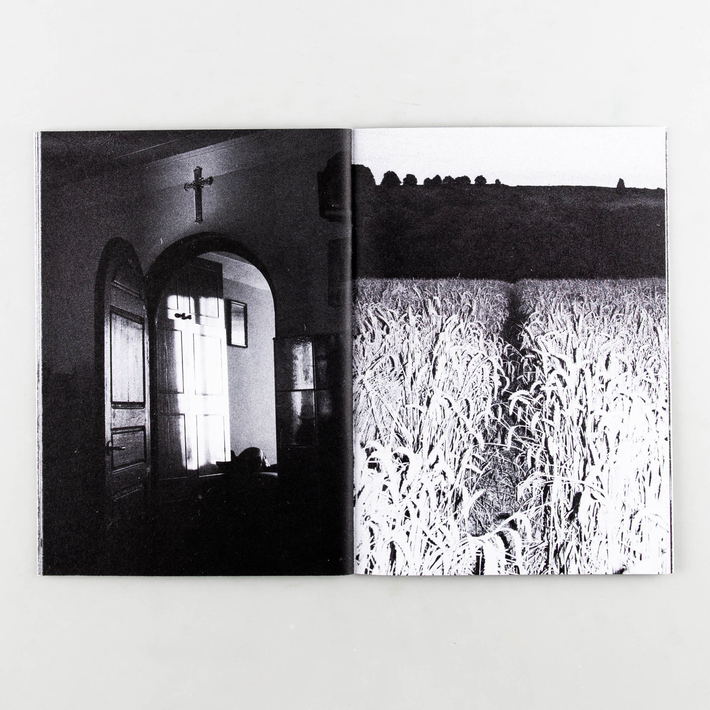 Passing By. - Image 2