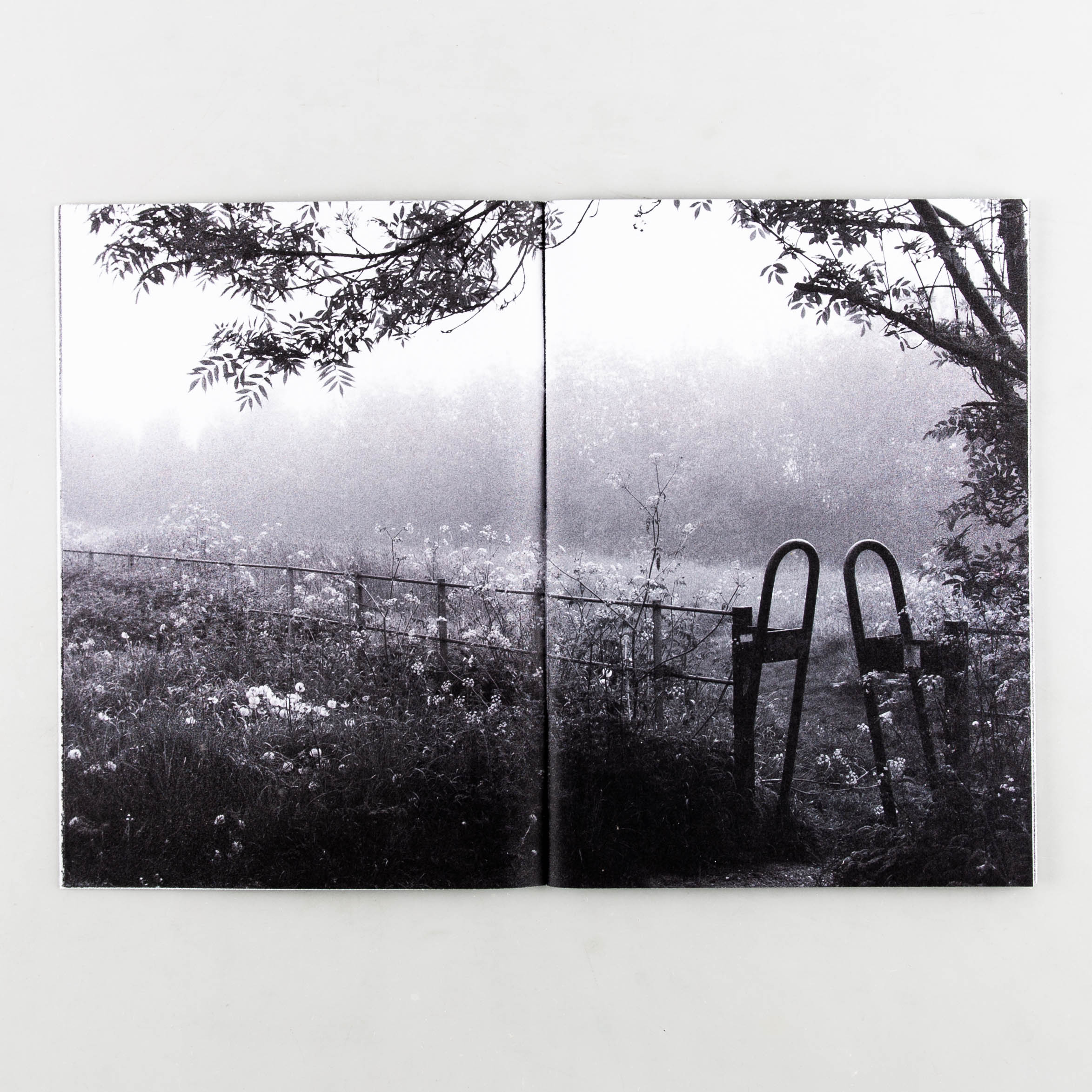 Passing By. - Image 5