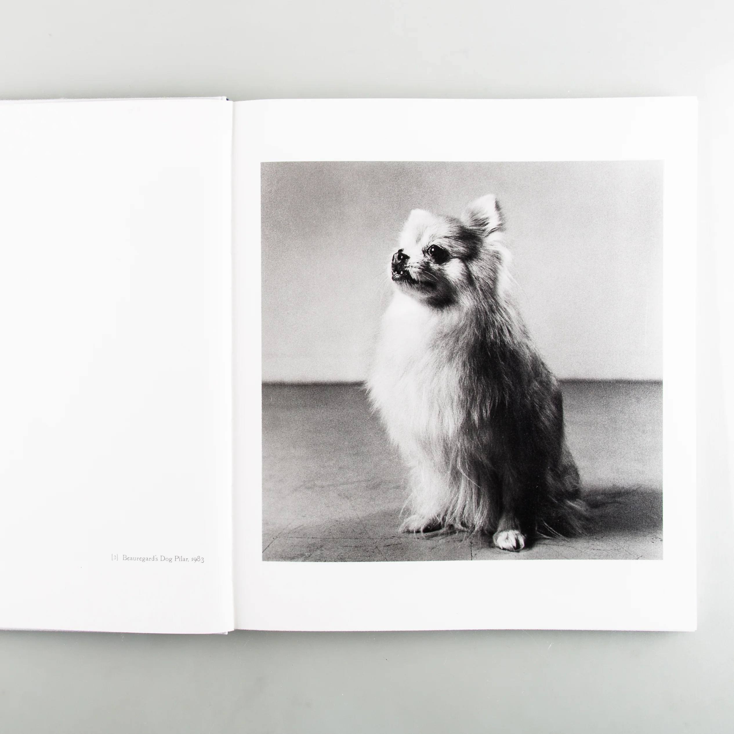 Peter Hujar Curated by Elton John - Image 8