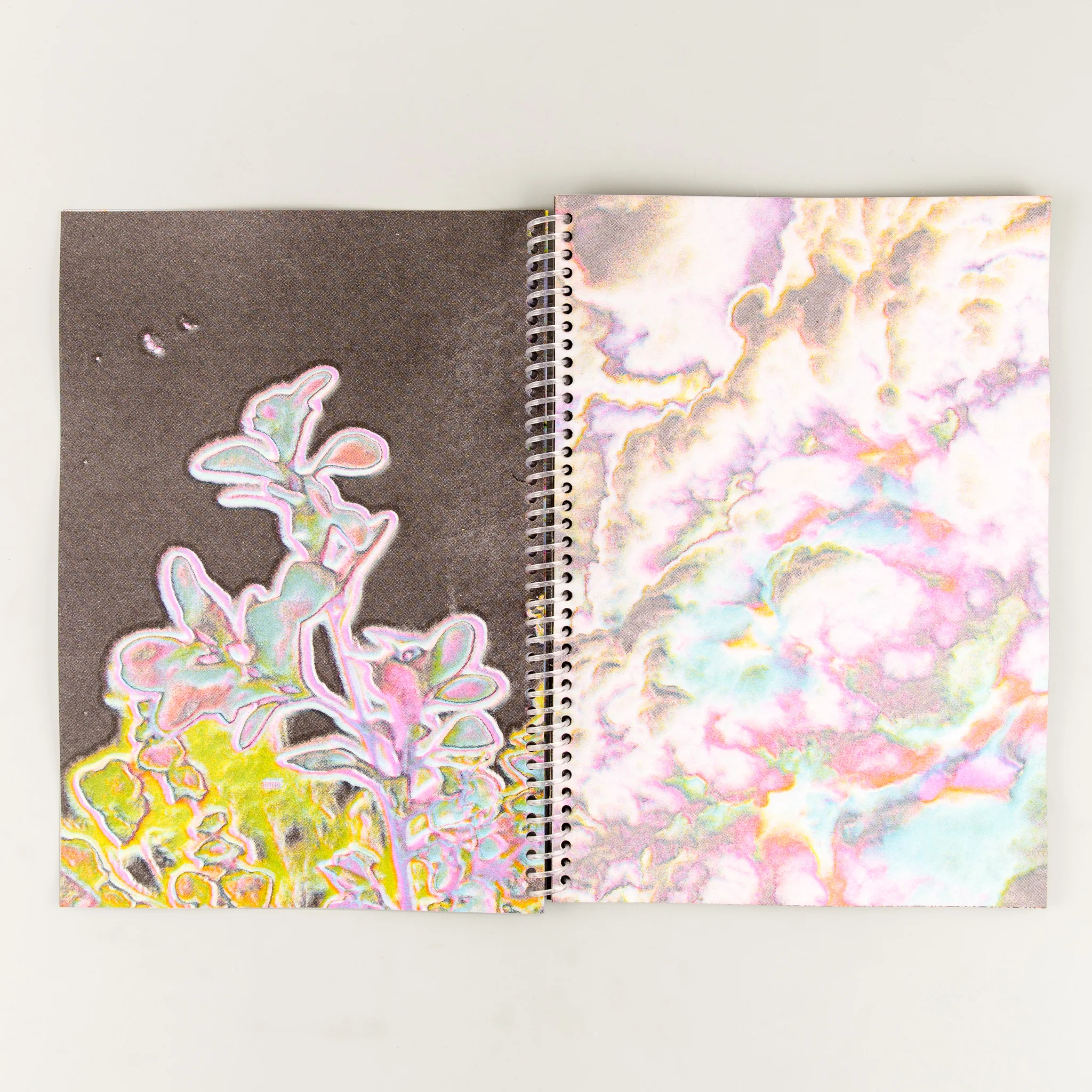 Phosphorescent - Image 2