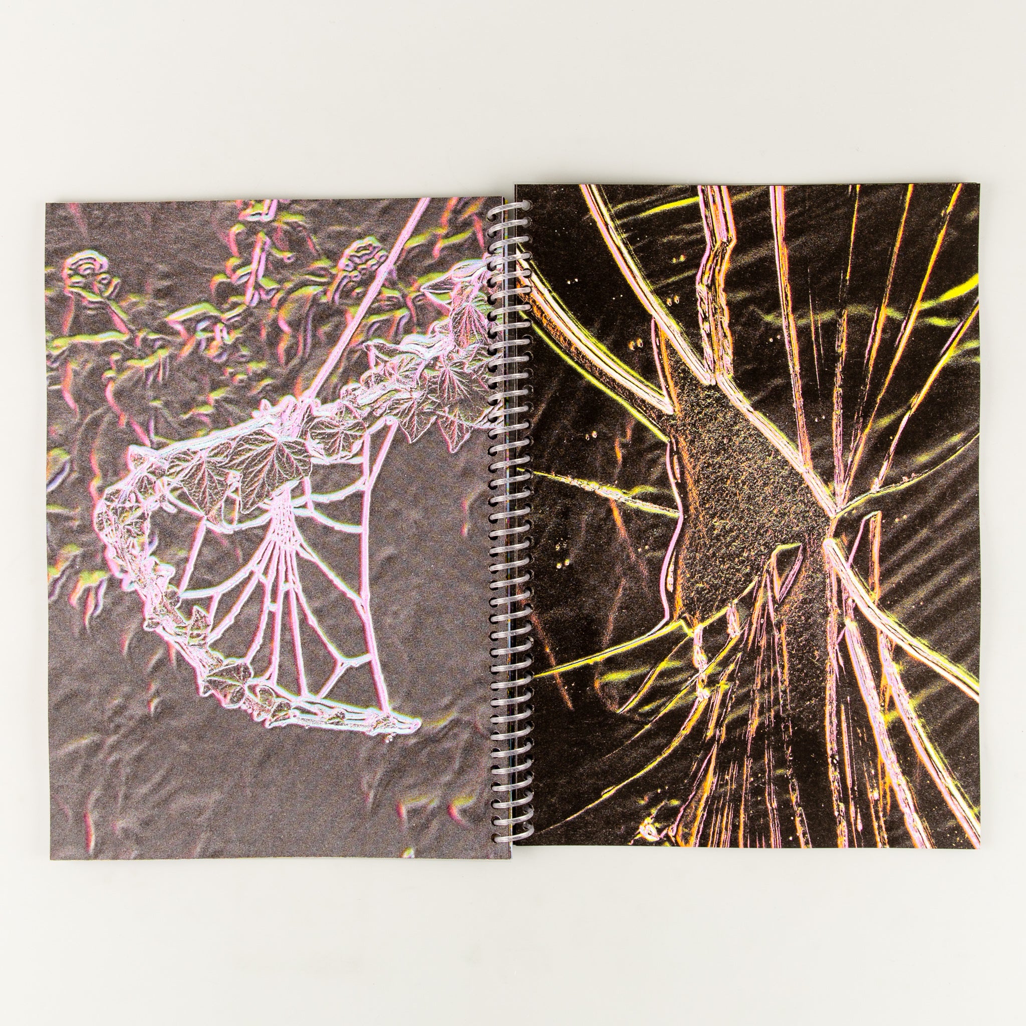 Phosphorescent - Image 7
