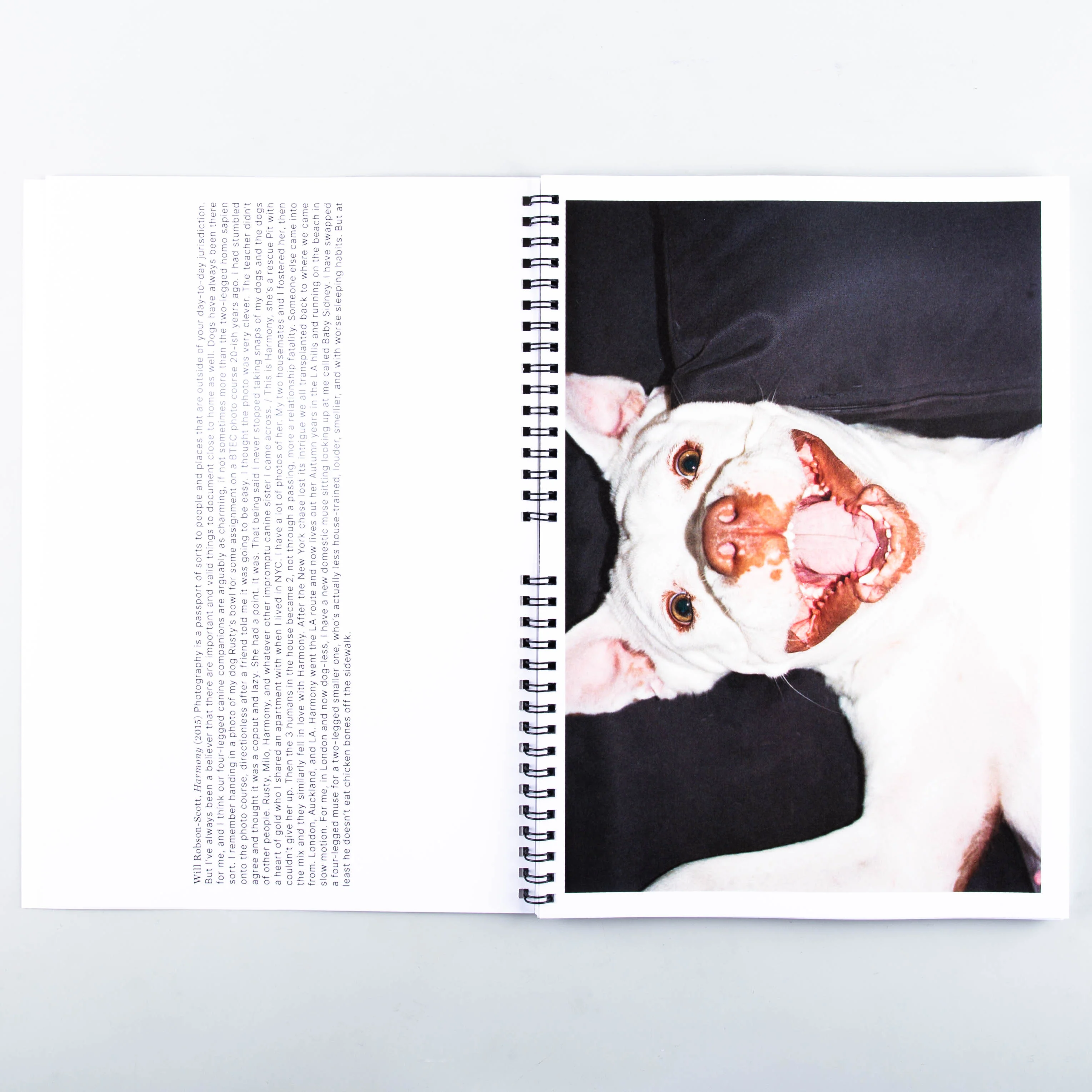 Photo Nerds Photobook Calendar 2025 - Image 2