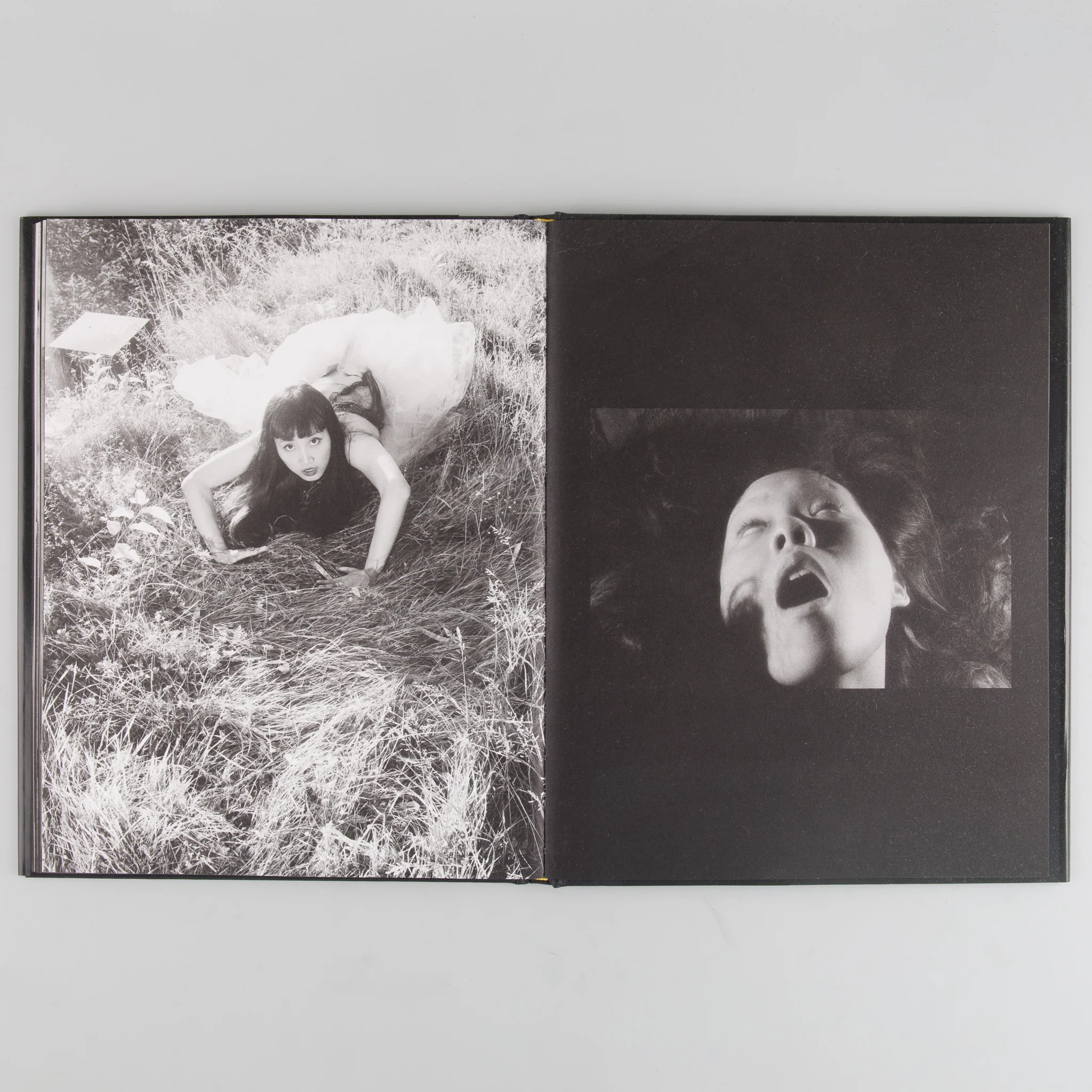 Pinku - Image 6