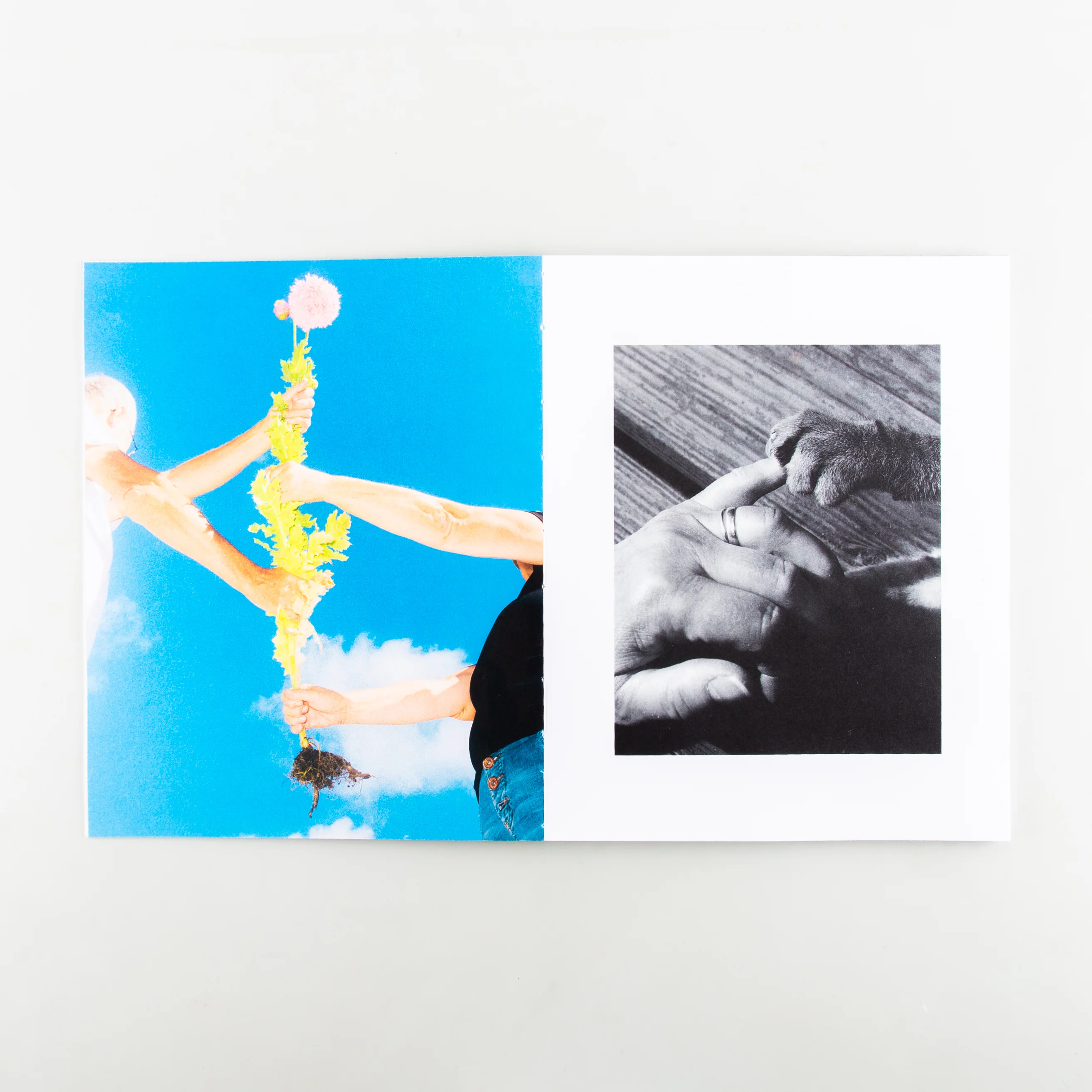 Playfulness - Image 6