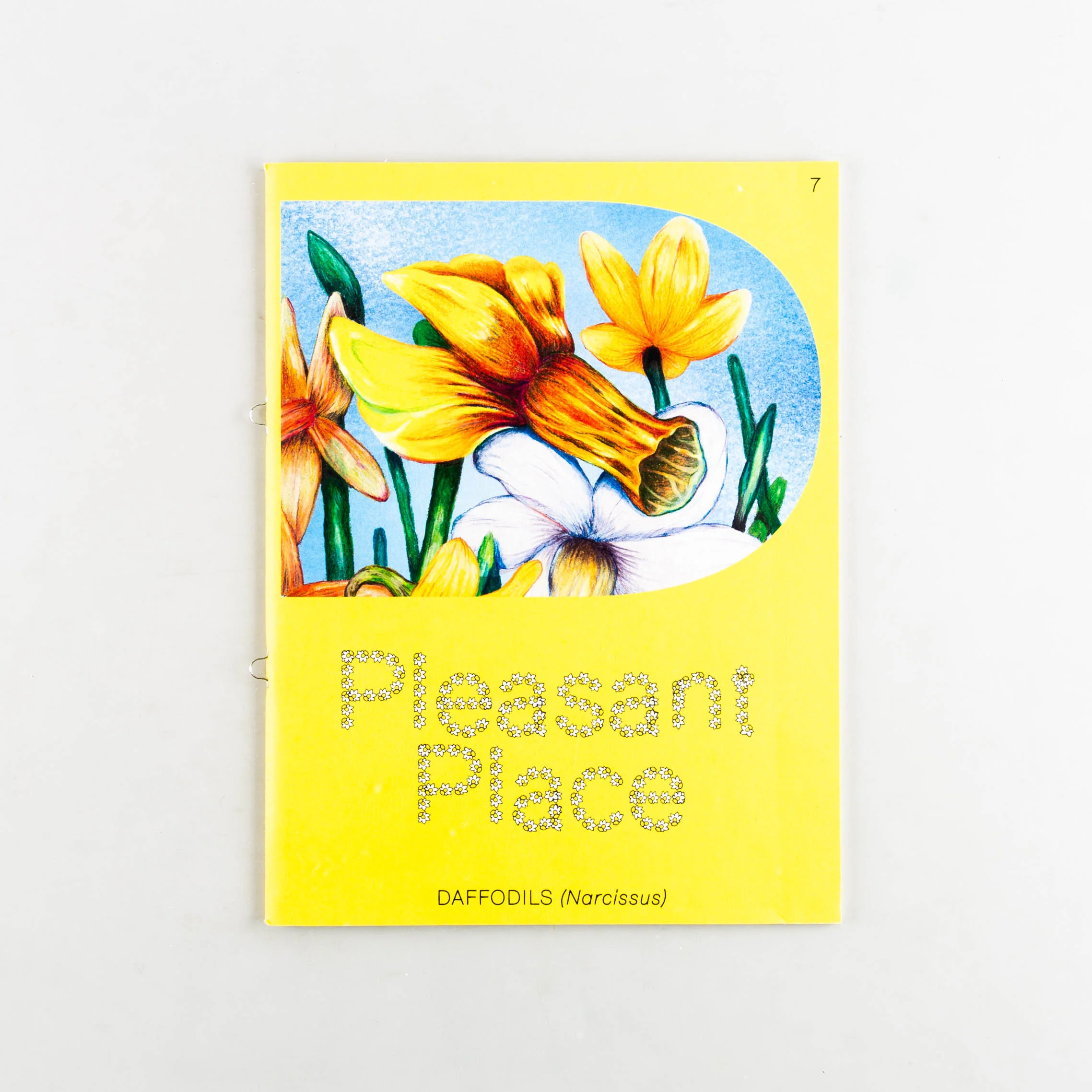Pleasant Place #7