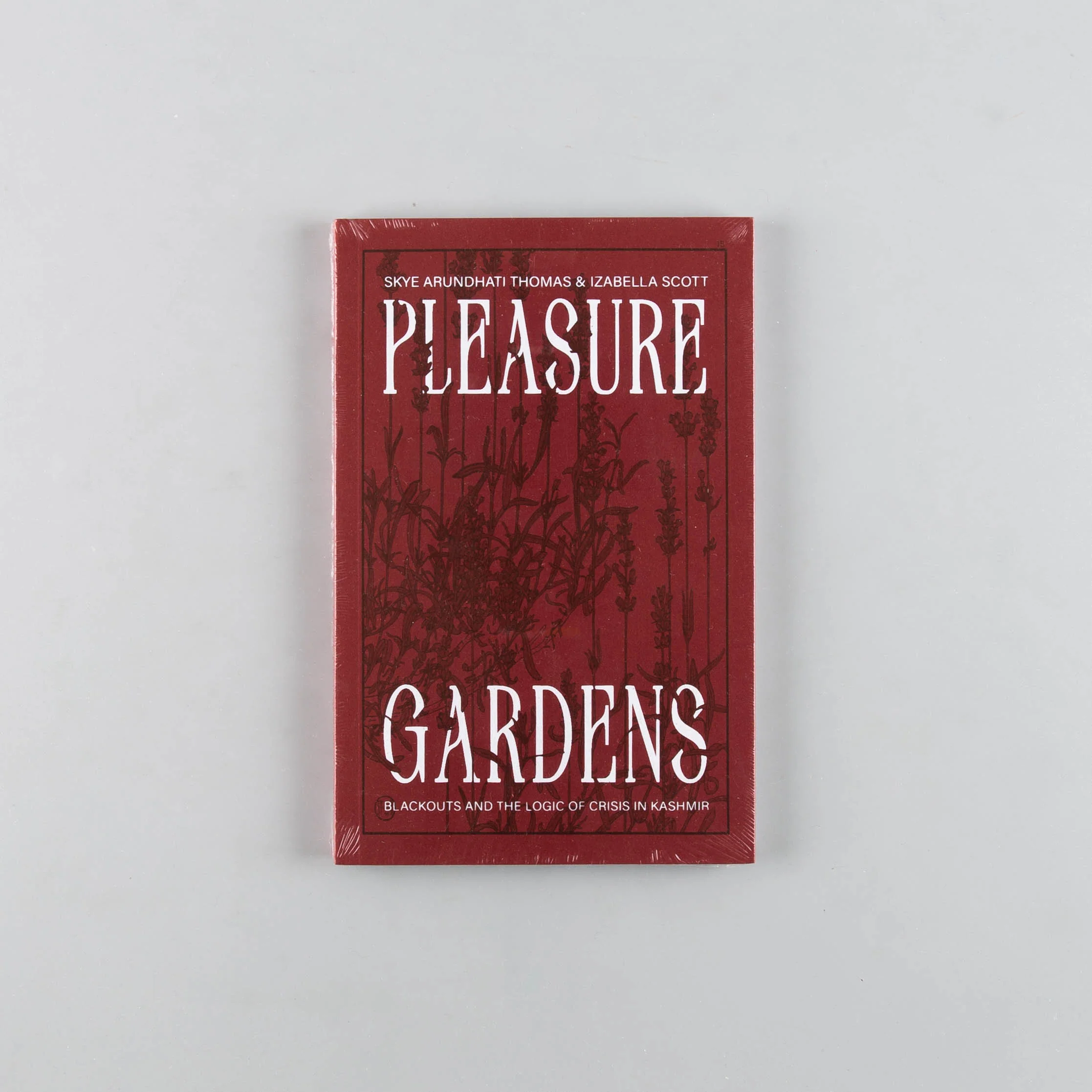 Pleasure Gardens: Blackouts and the Logic of Crisis in Kashmir