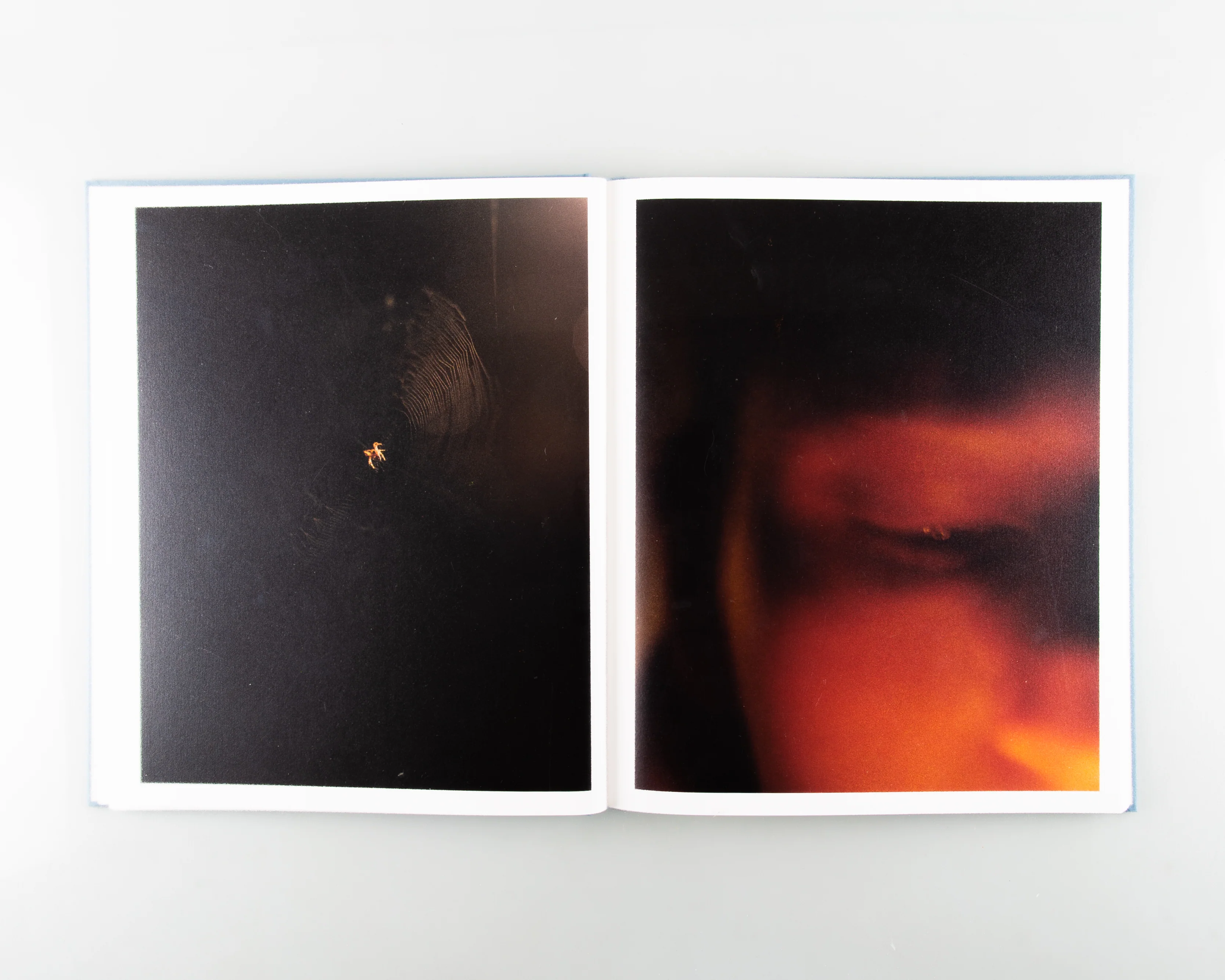Poppy Promises - Image 11