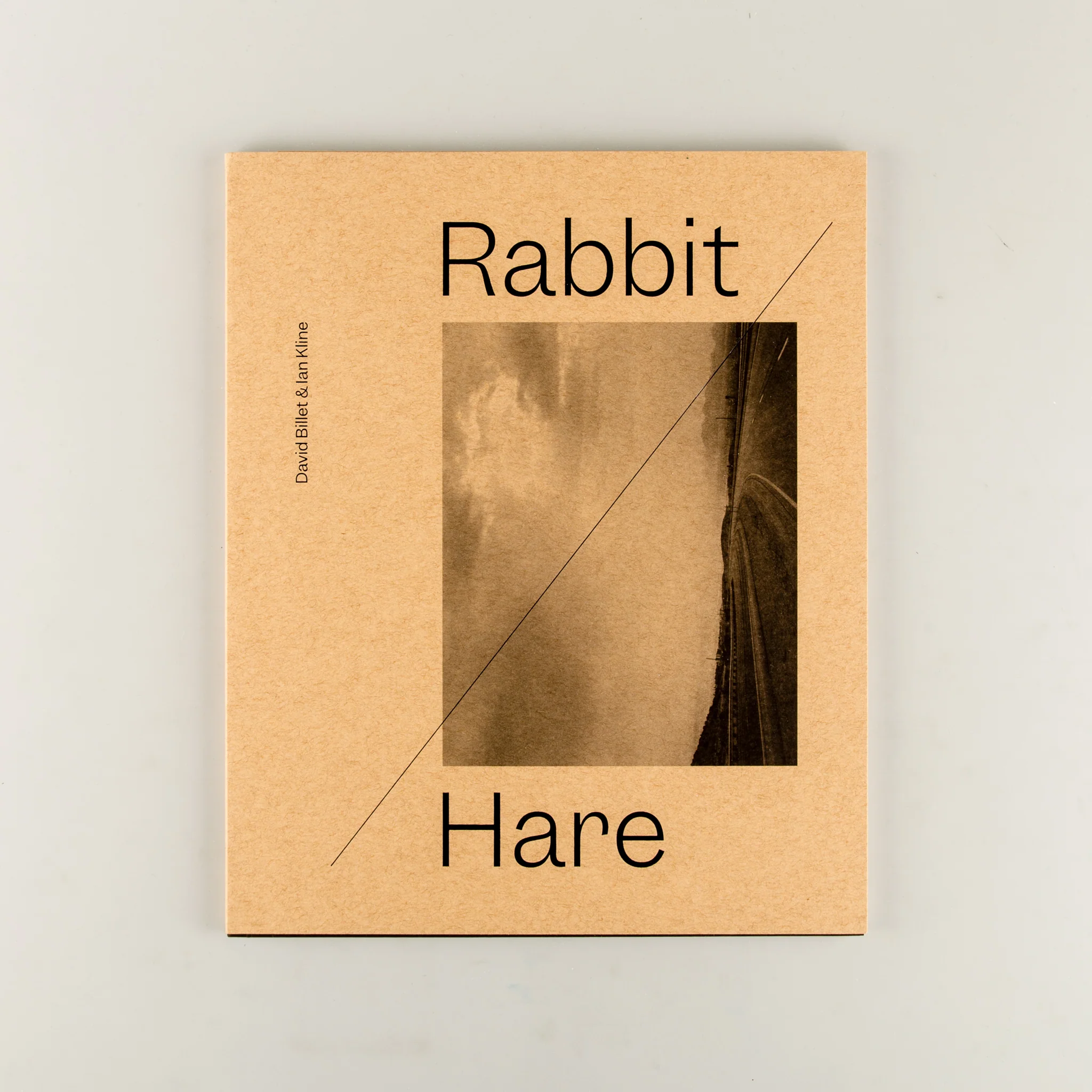 Rabbit / Hare