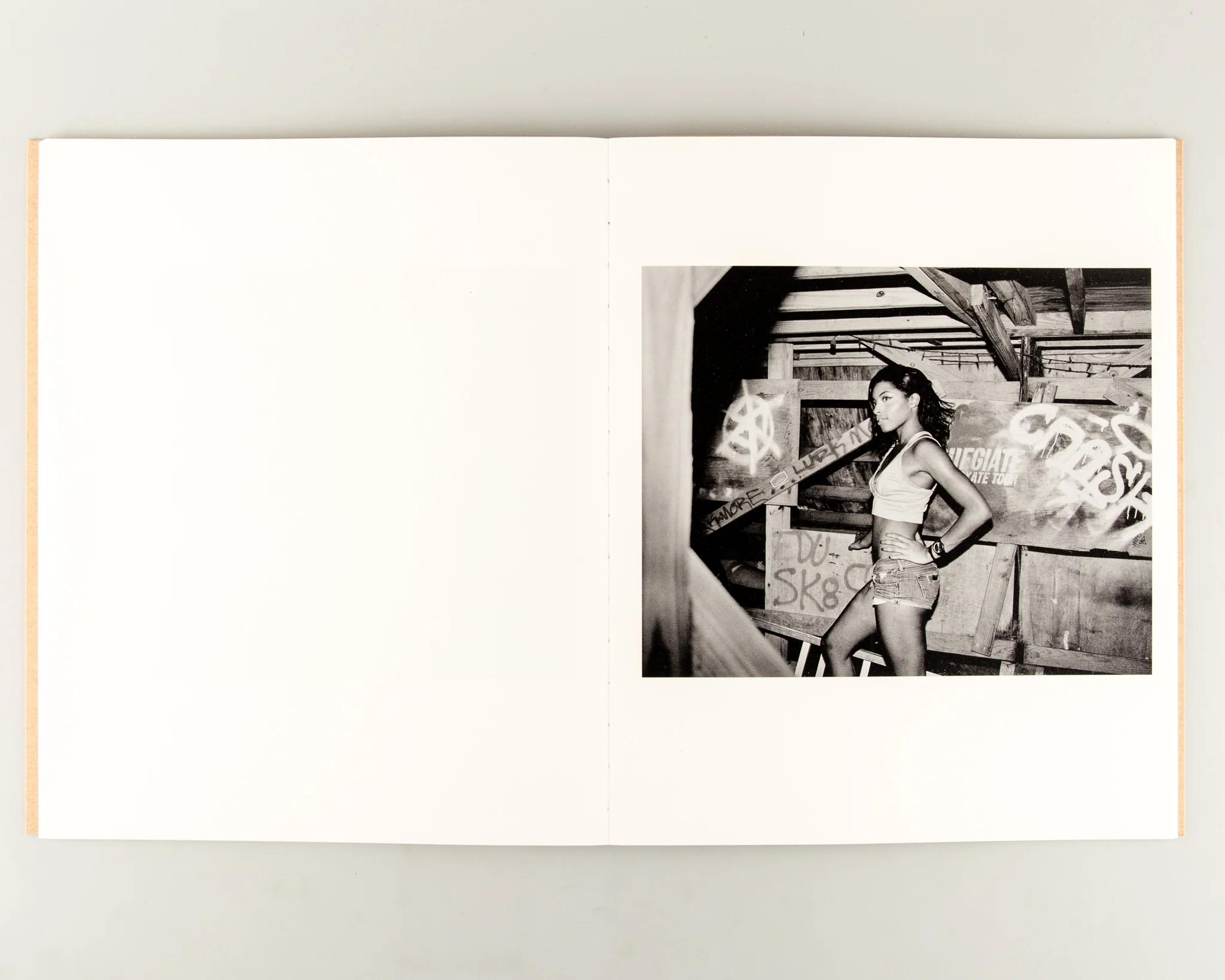 Rabbit / Hare - Image 6