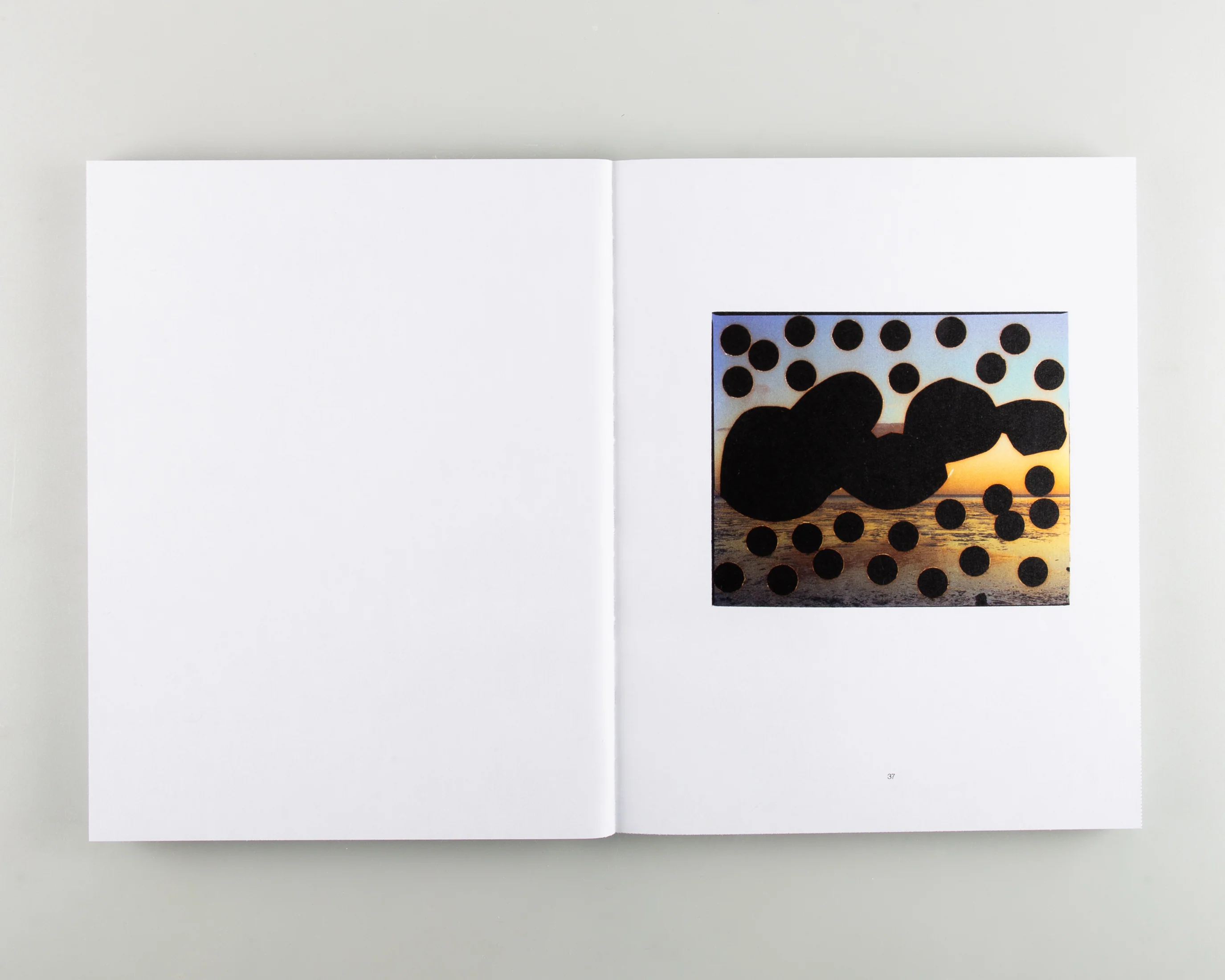 Reconstructed Nature - Image 2