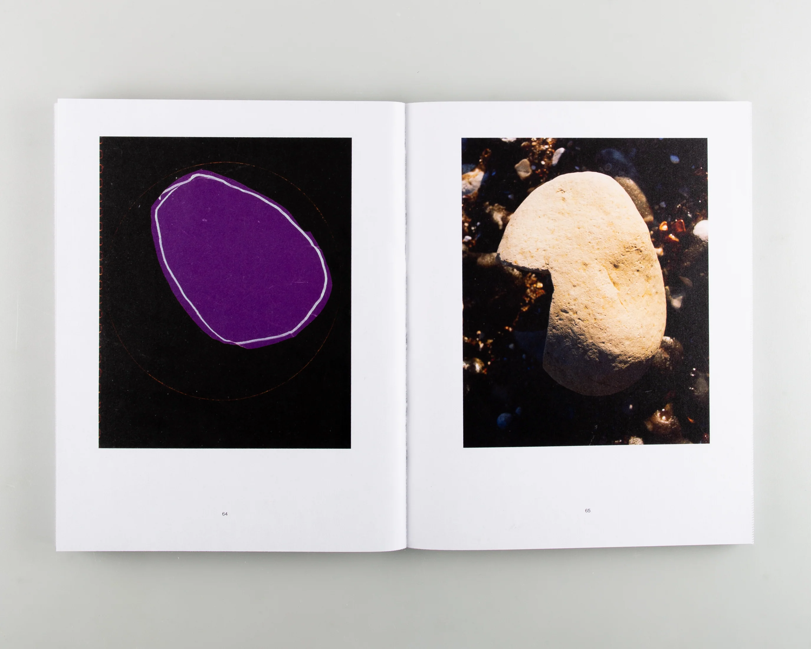 Reconstructed Nature - Image 3