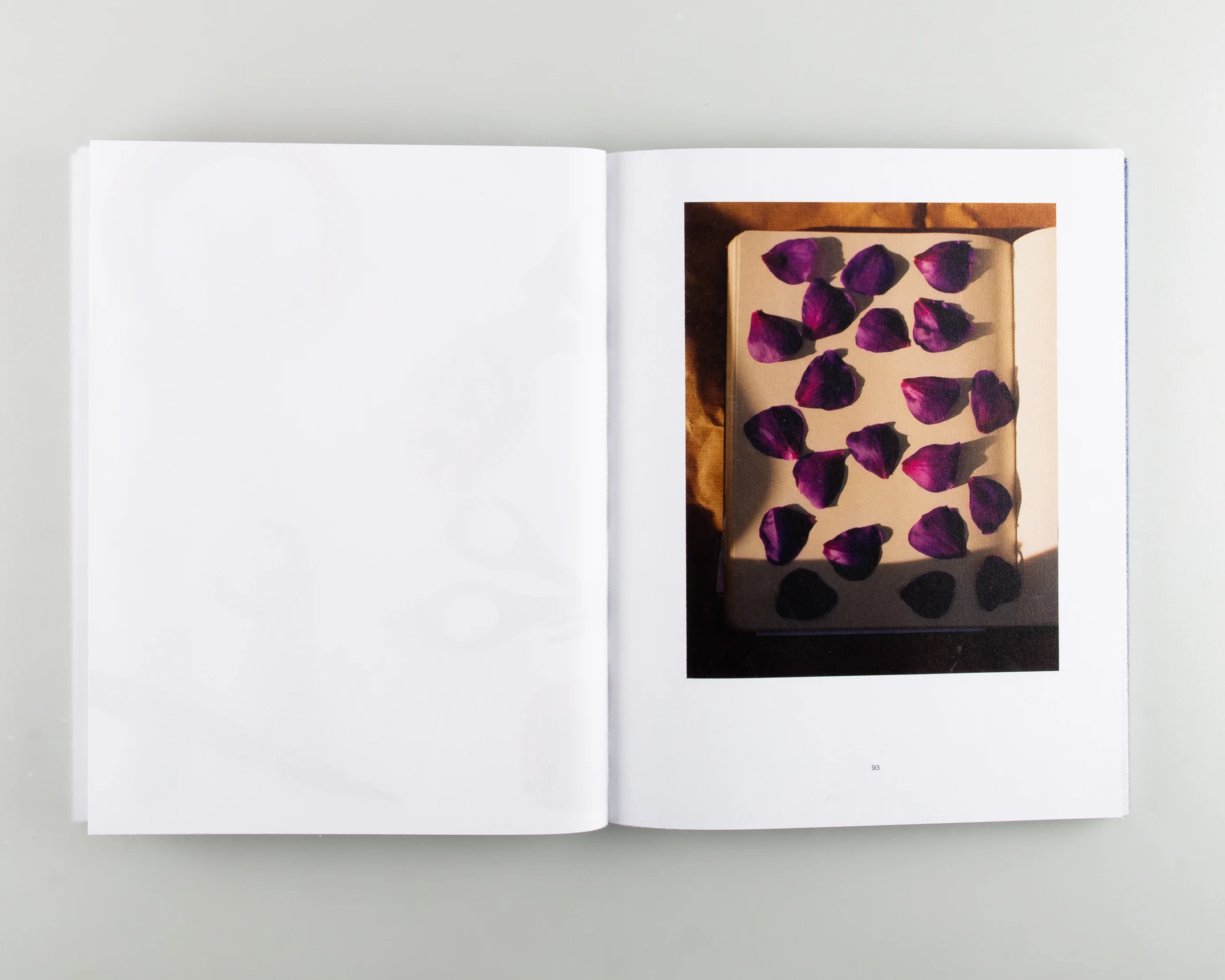 Reconstructed Nature - Image 4