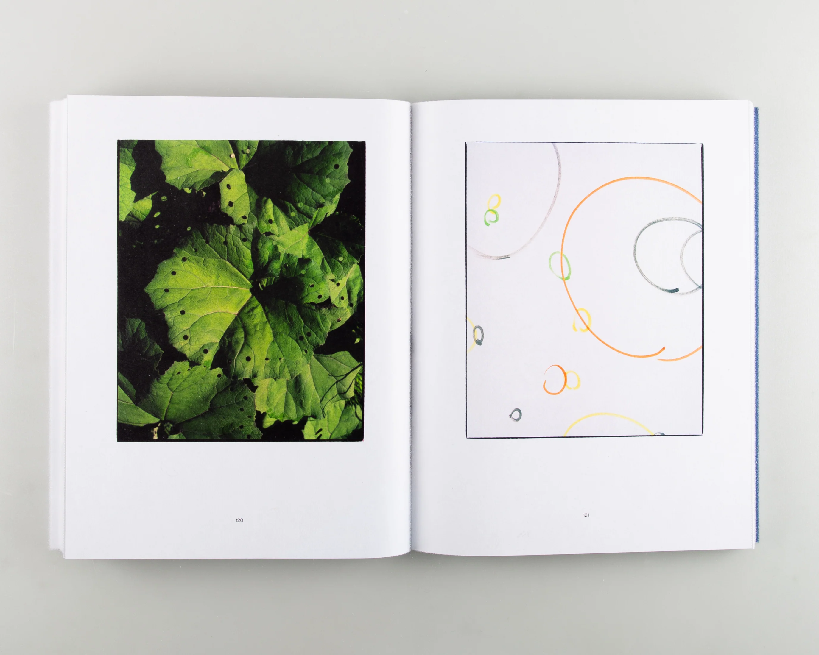 Reconstructed Nature - Image 5