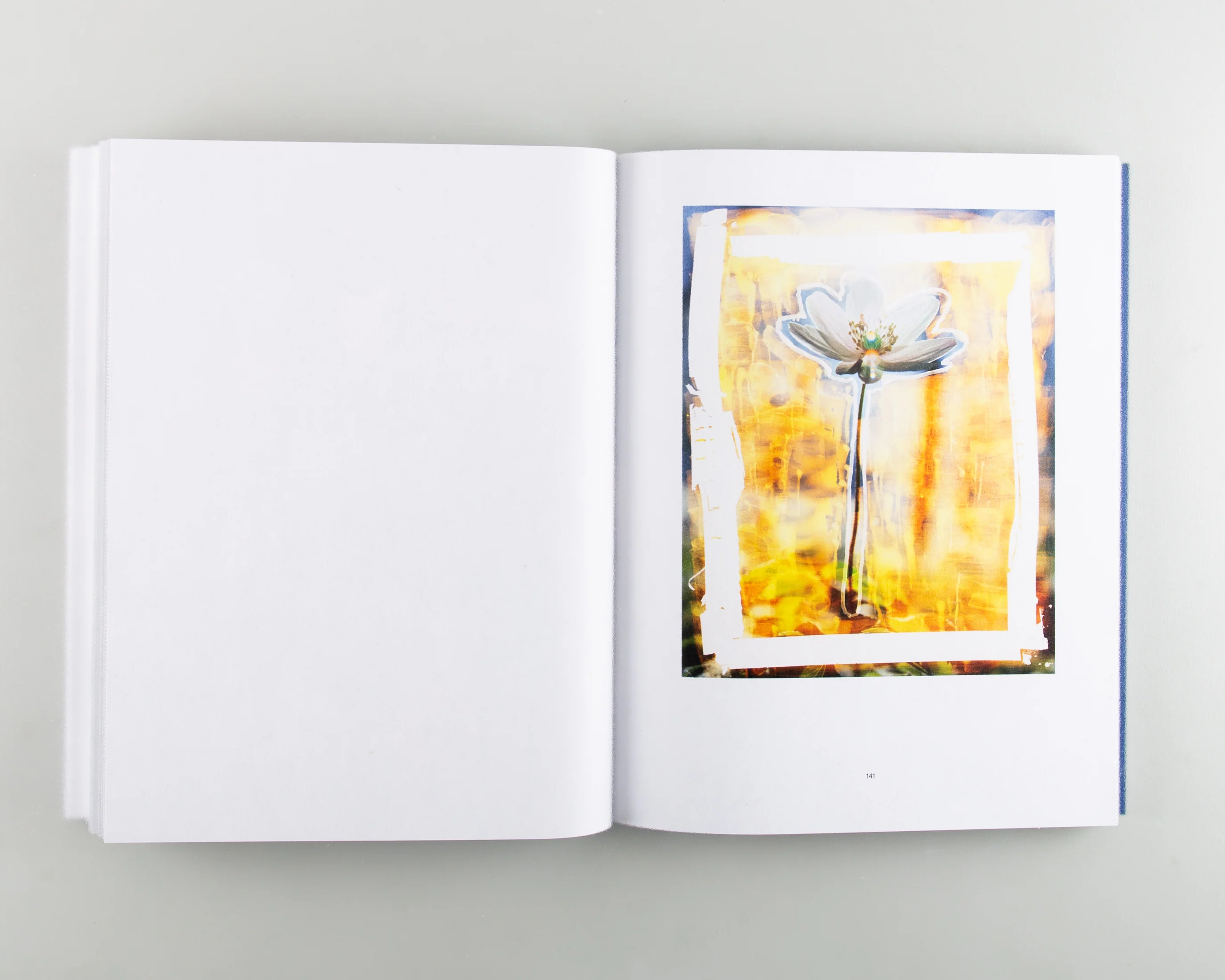 Reconstructed Nature - Image 6