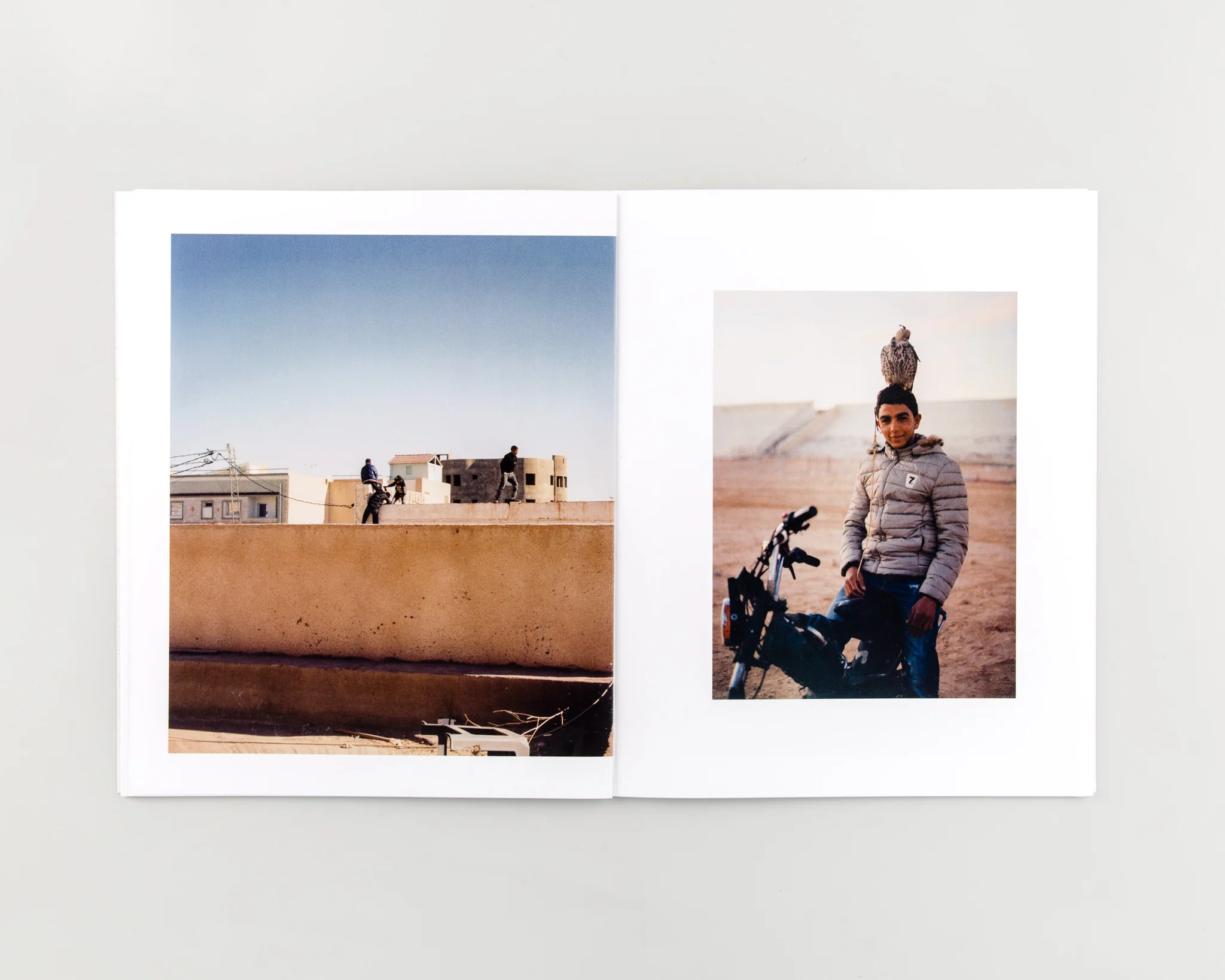 Rose of the Desert - Image 9