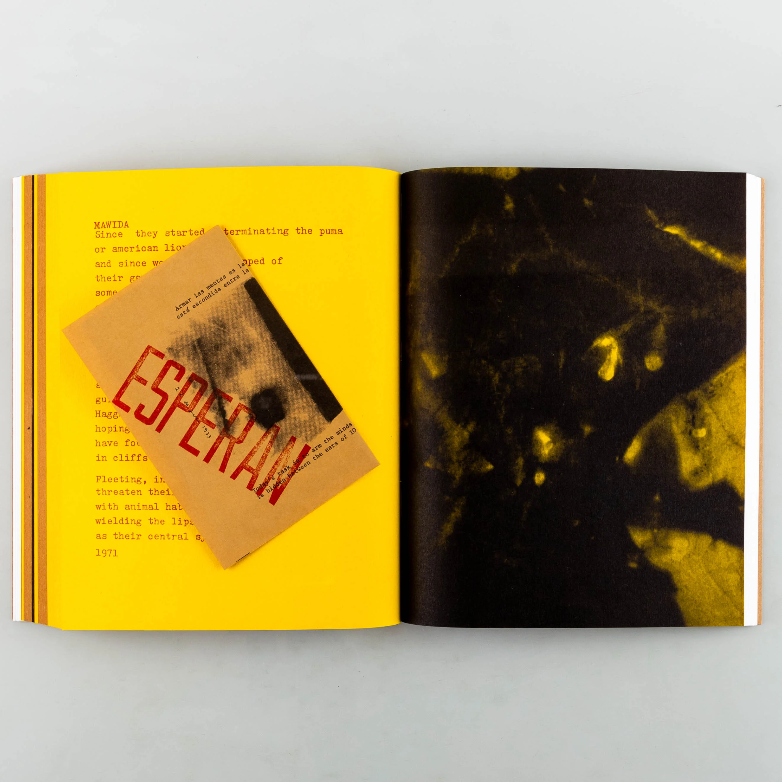 Saborami: Expanded facsimile edition - Image 6