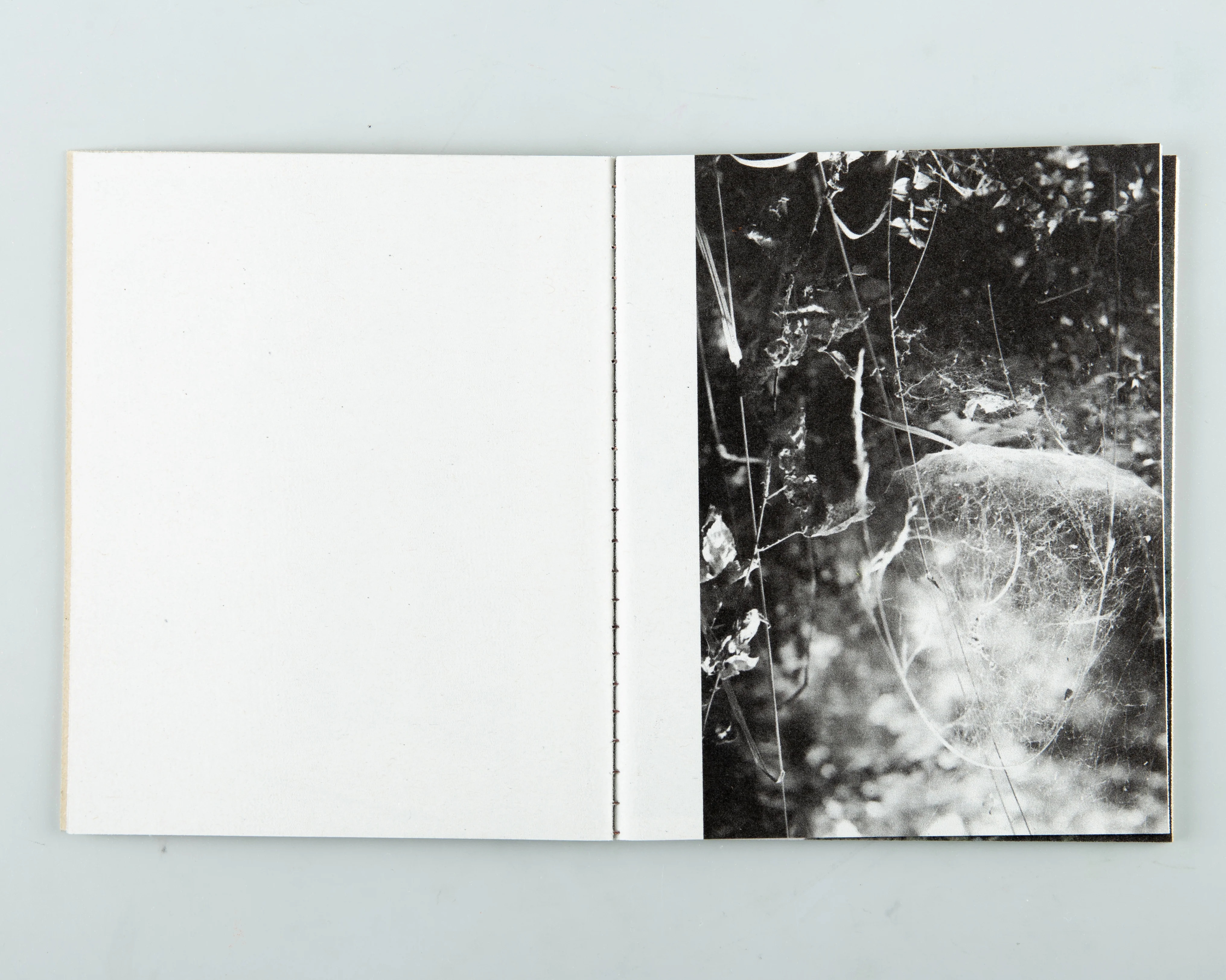 Scarle - Image 10