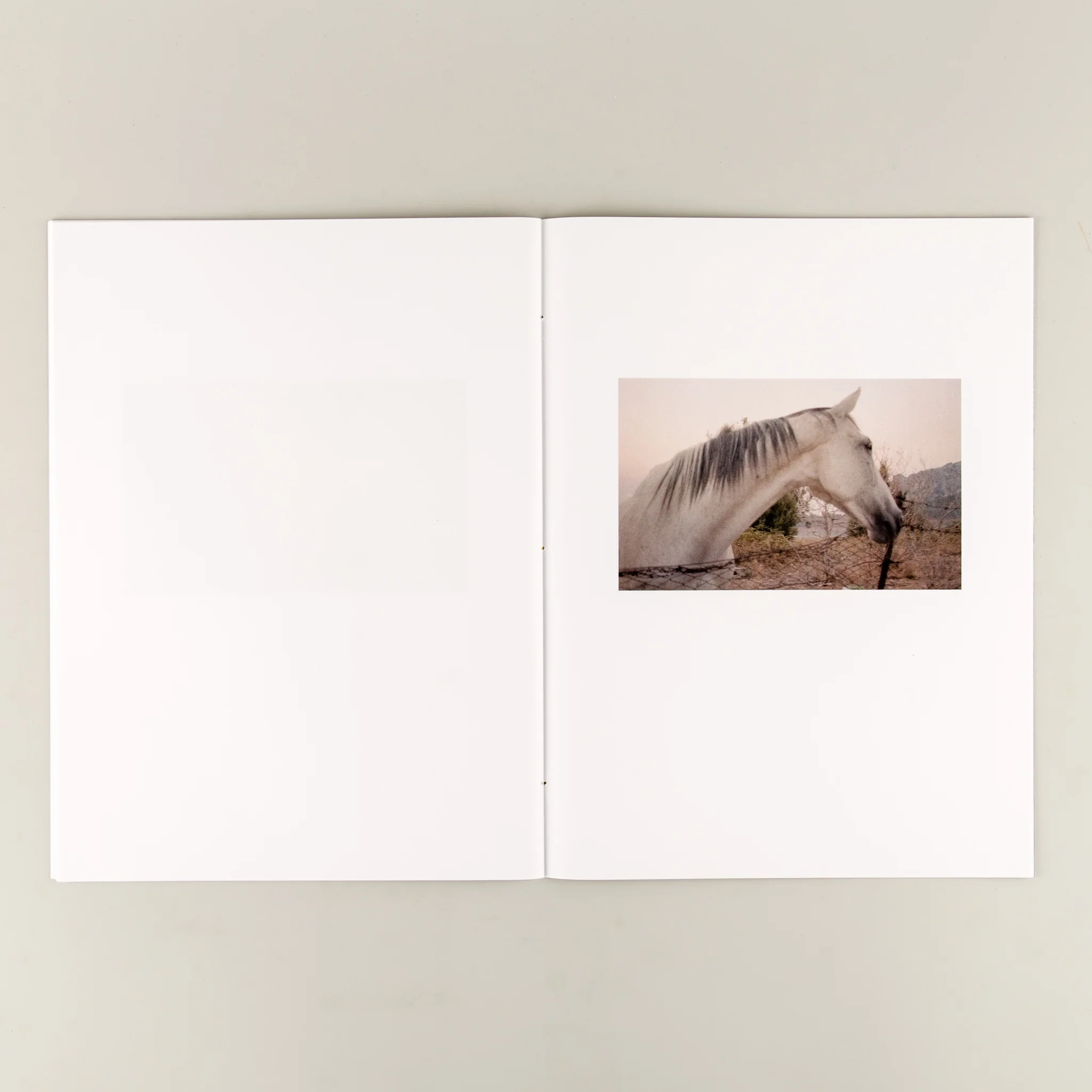 Sentire/To Feel - Image 5
