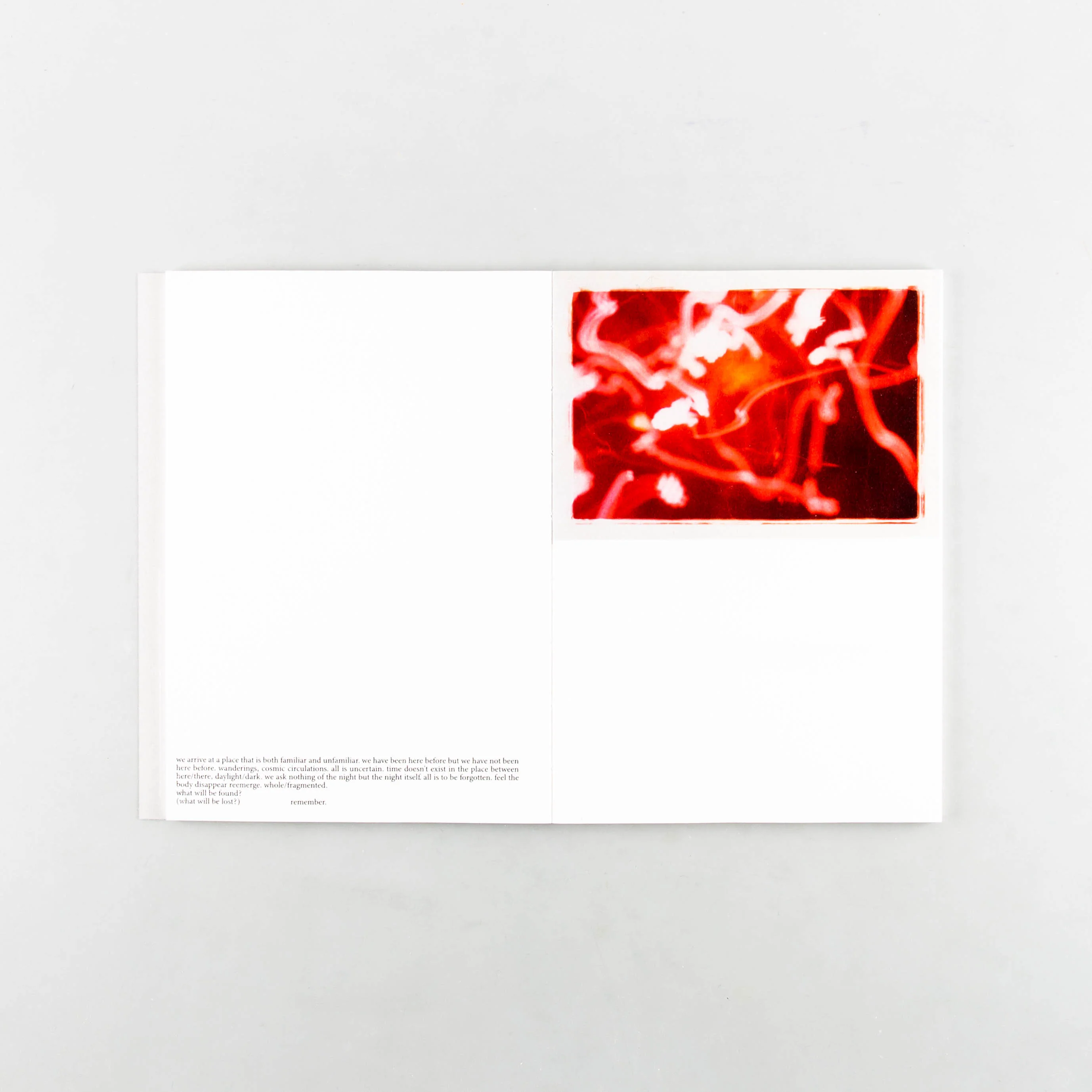 Shapeshifting - Image 4