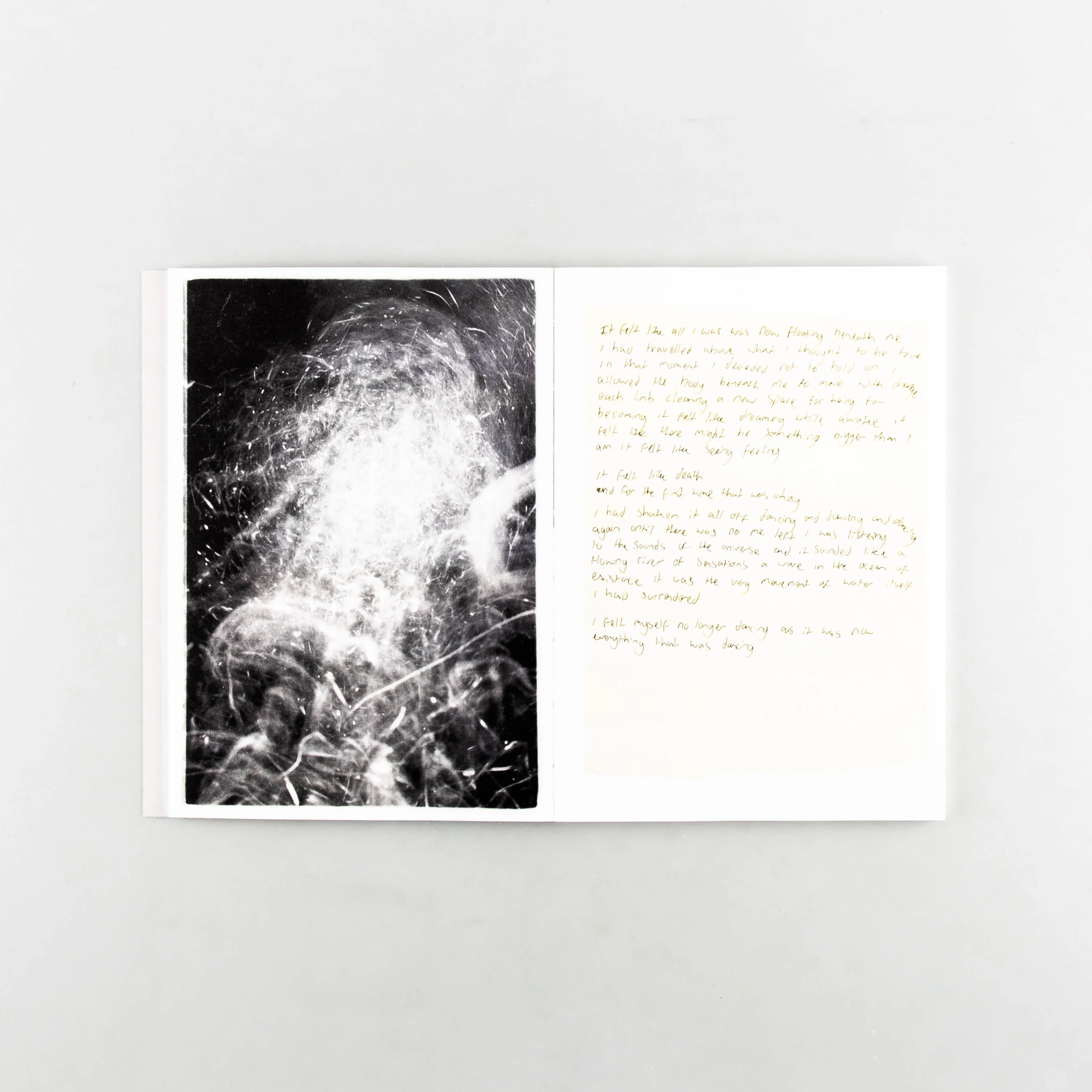 Shapeshifting - Image 5
