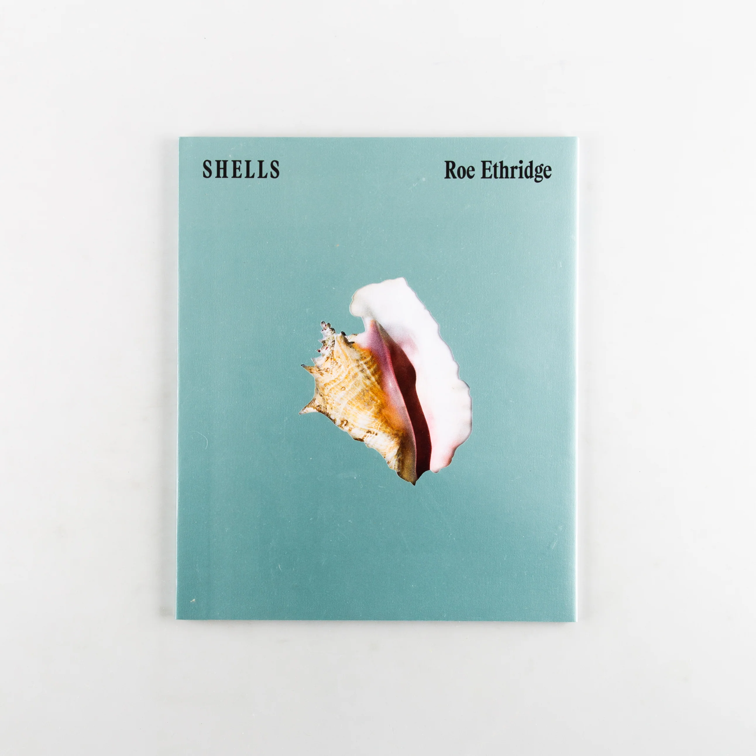 SHELLS