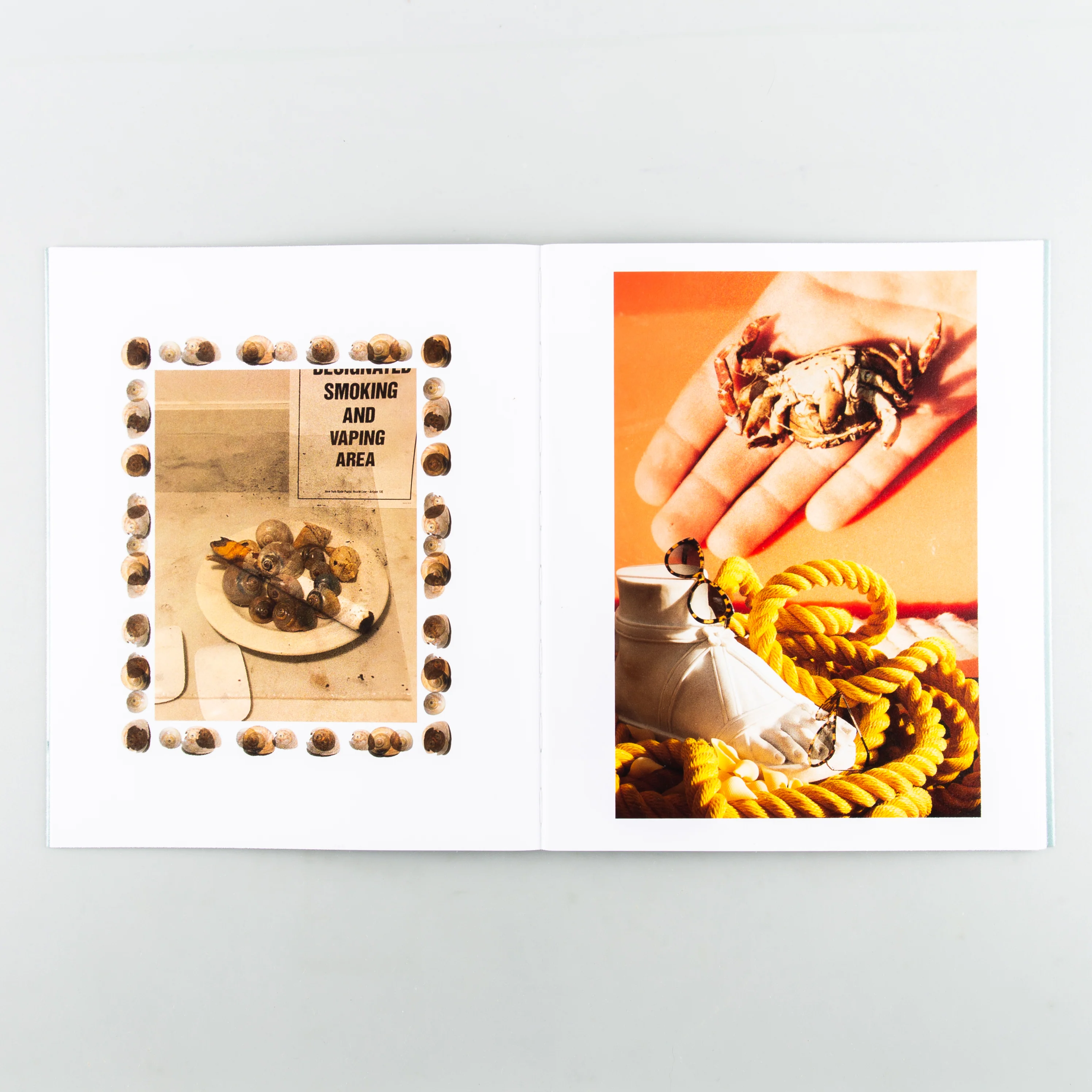 SHELLS - Image 5