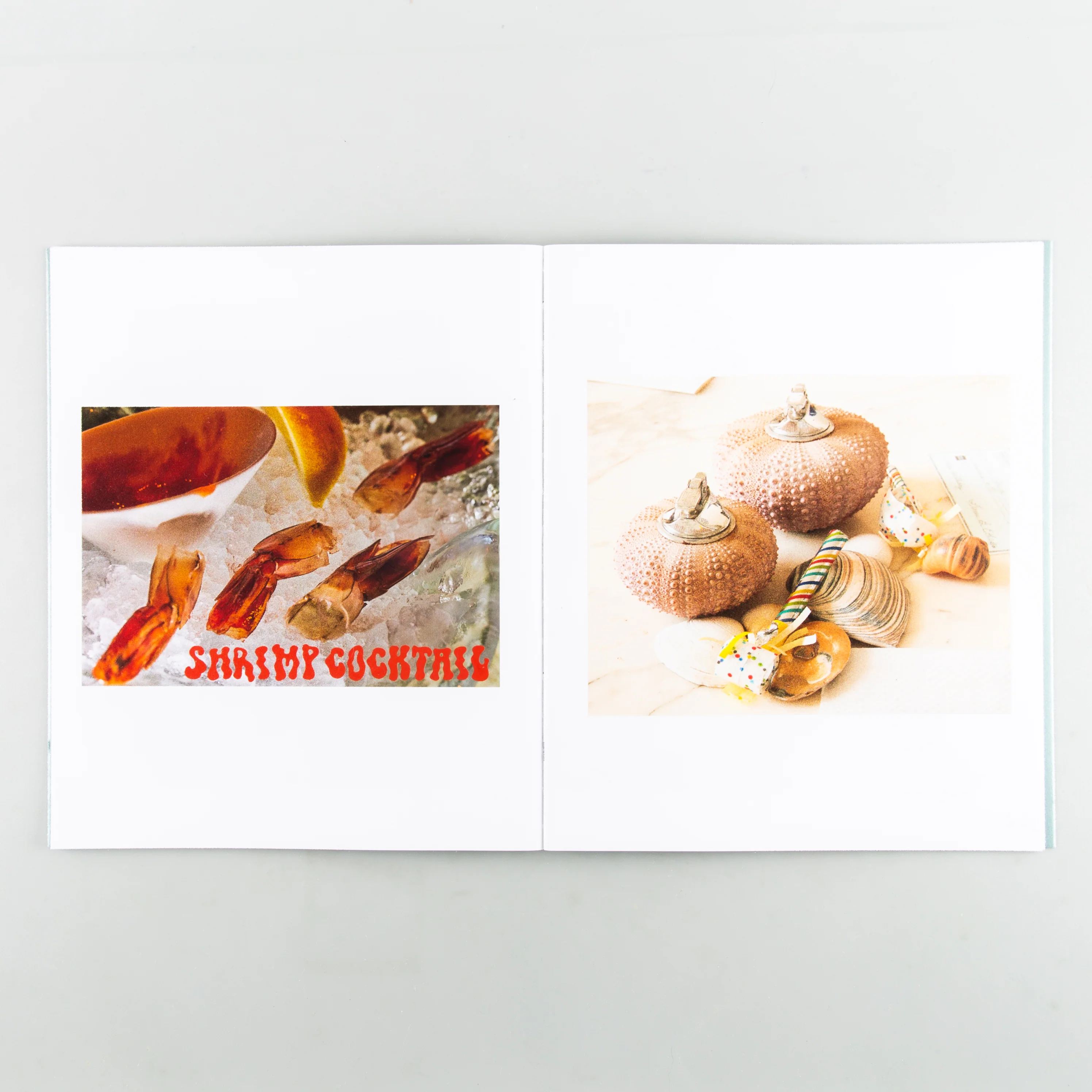 SHELLS - Image 8