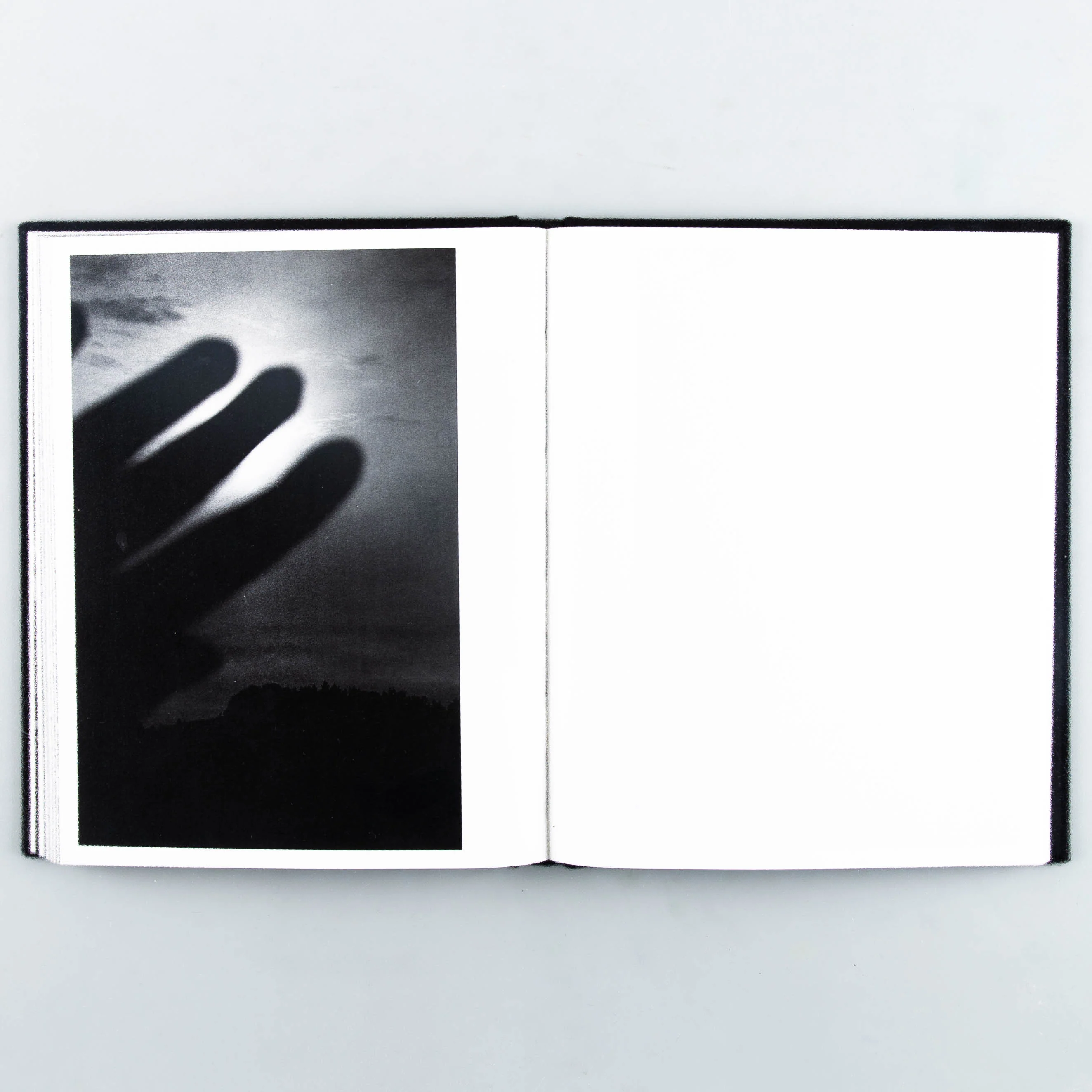 Sheltering Ballad (SIGNED) - Image 4