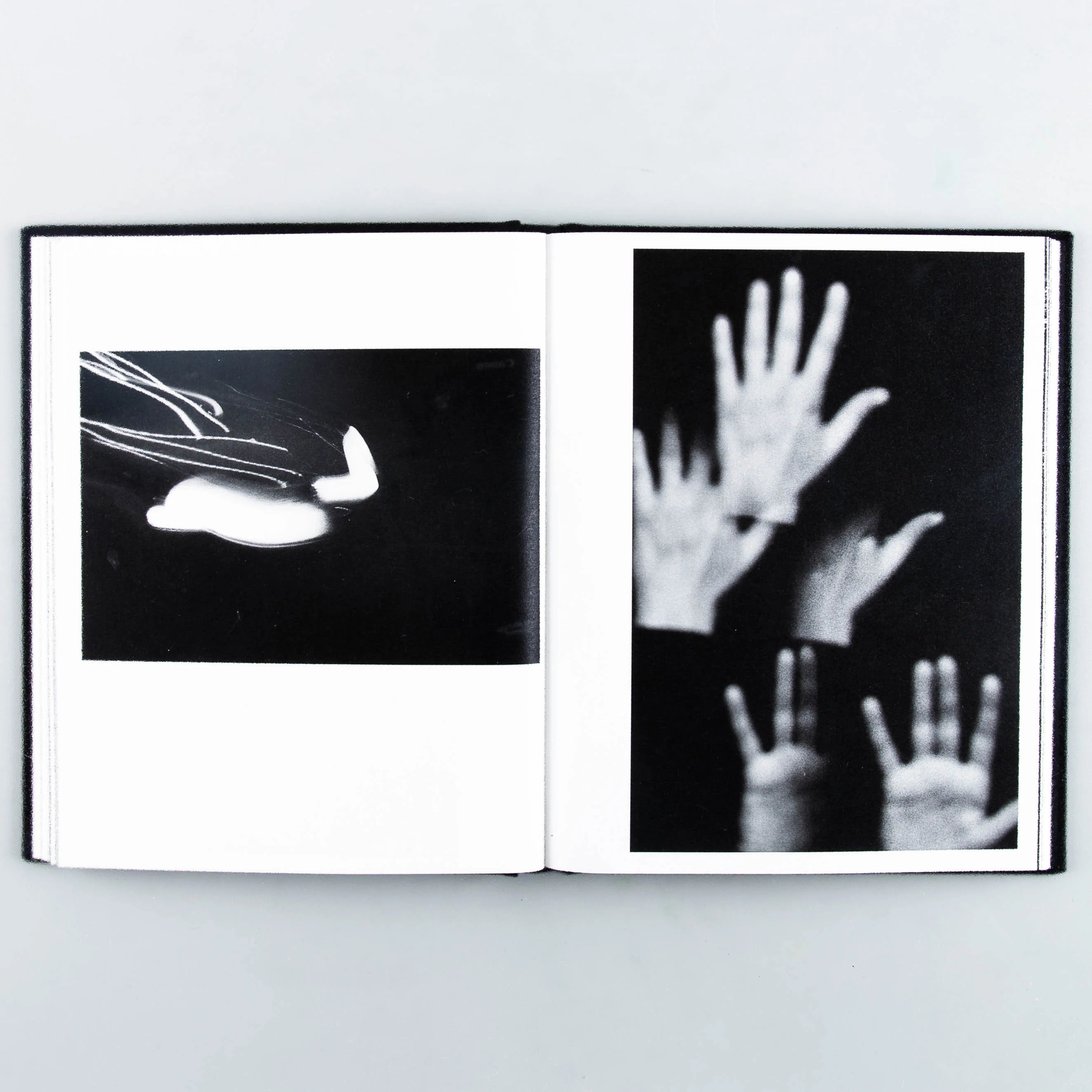 Sheltering Ballad (SIGNED) - Image 5
