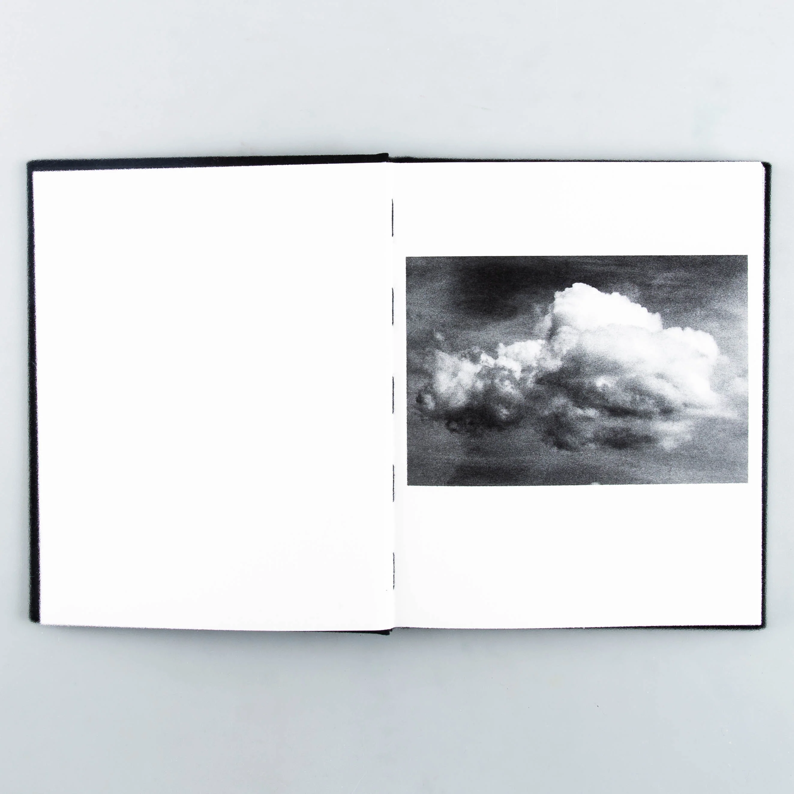 Sheltering Ballad (SIGNED) - Image 8