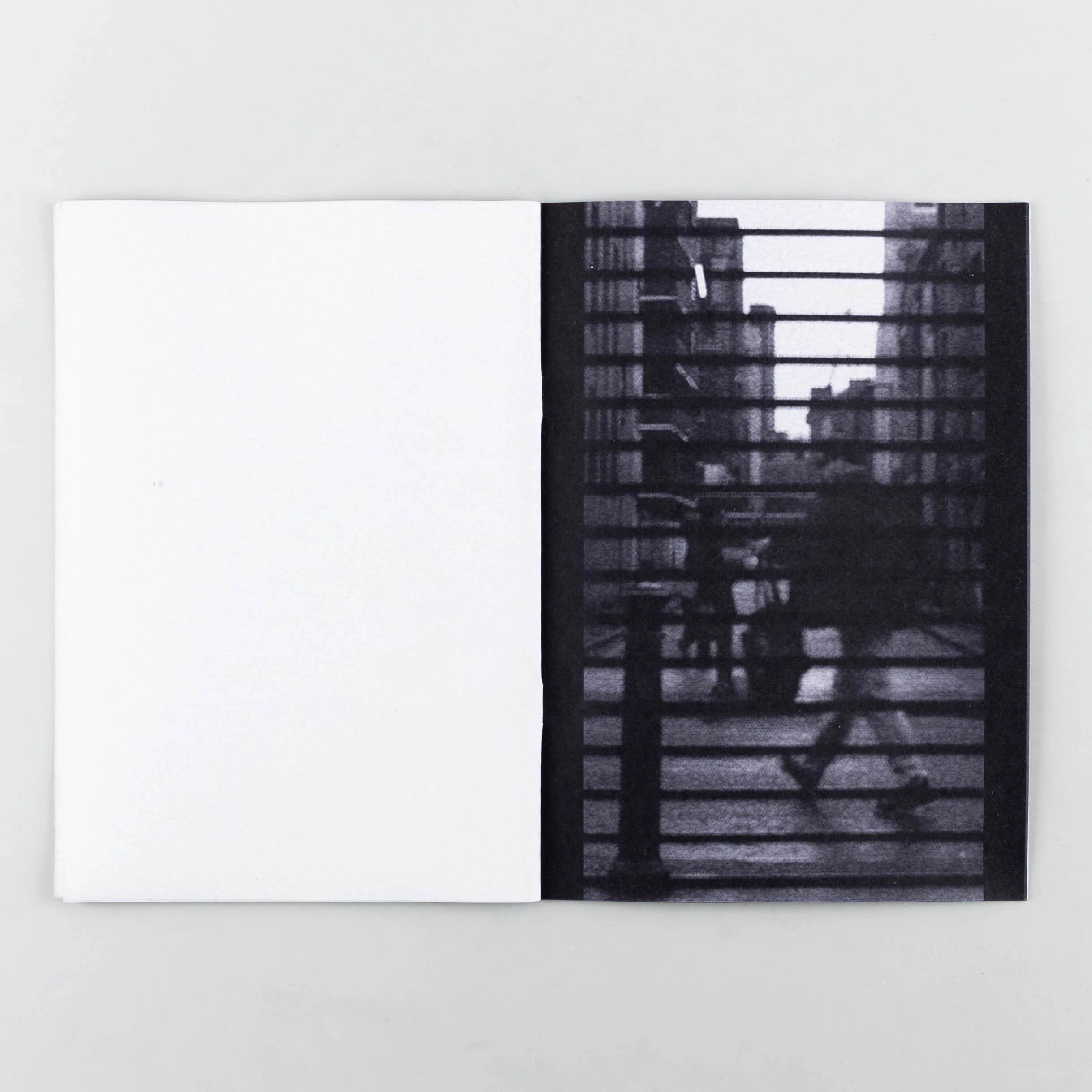 Shutterbug - Image 4