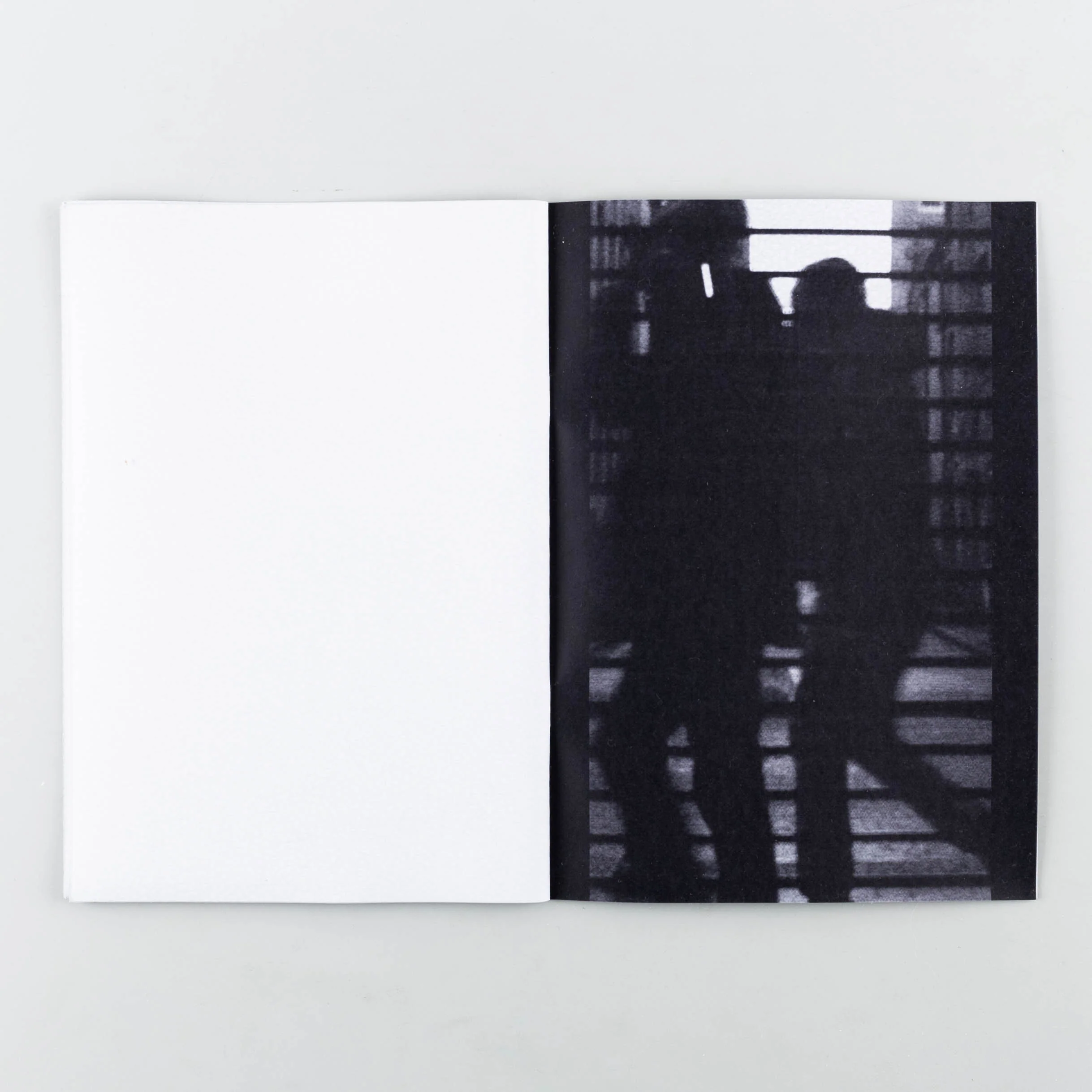 Shutterbug - Image 5