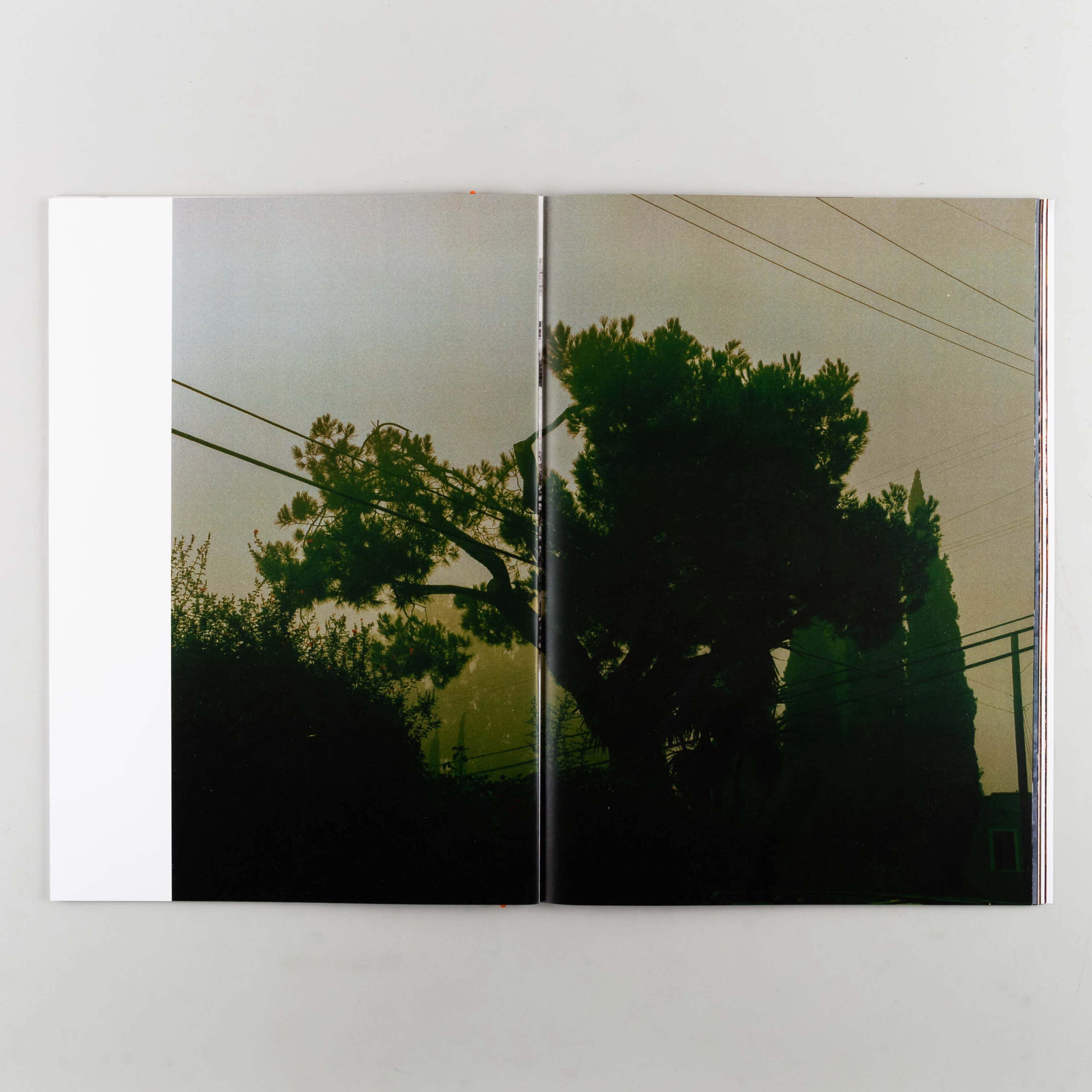 Since For - Image 4
