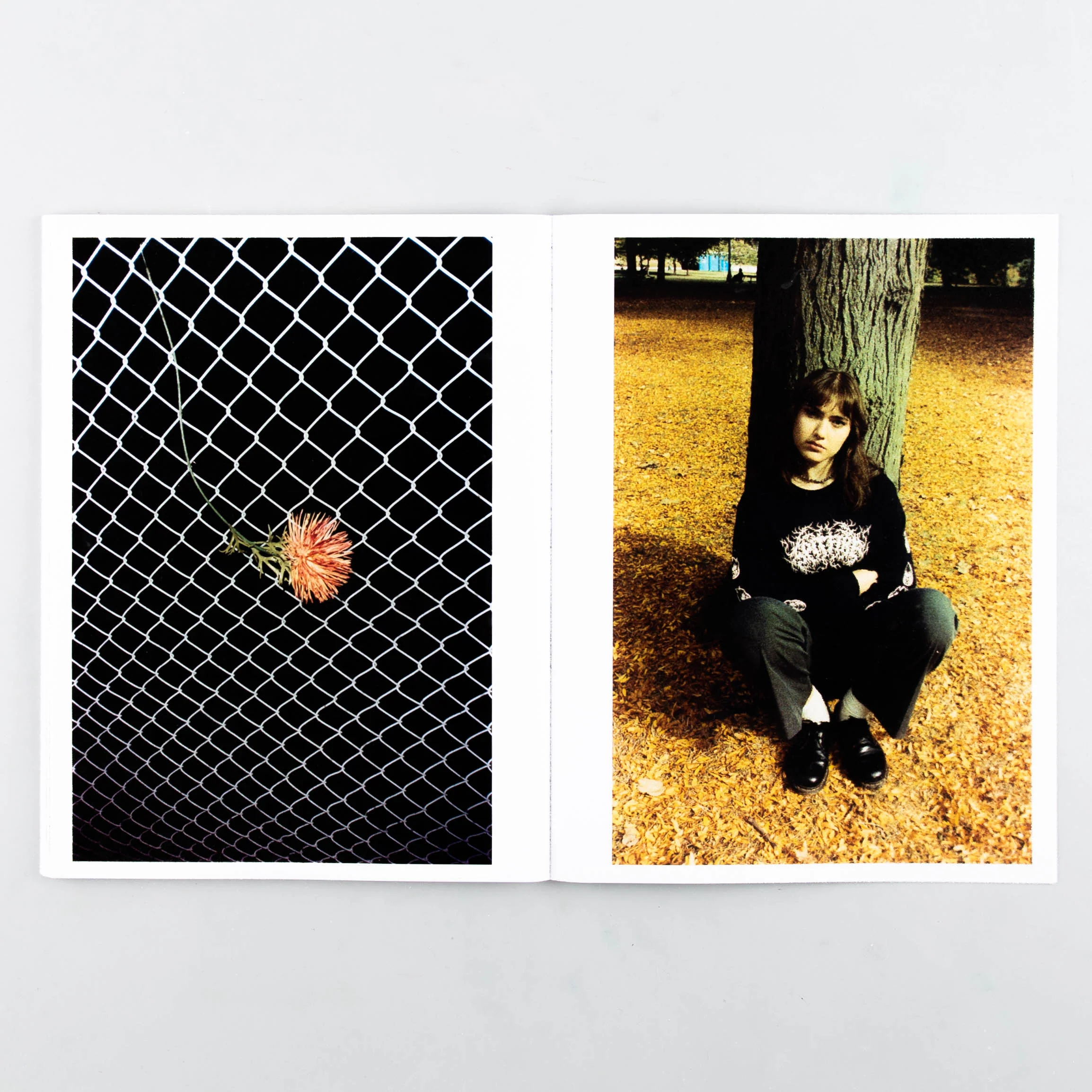 Skorched - Image 2
