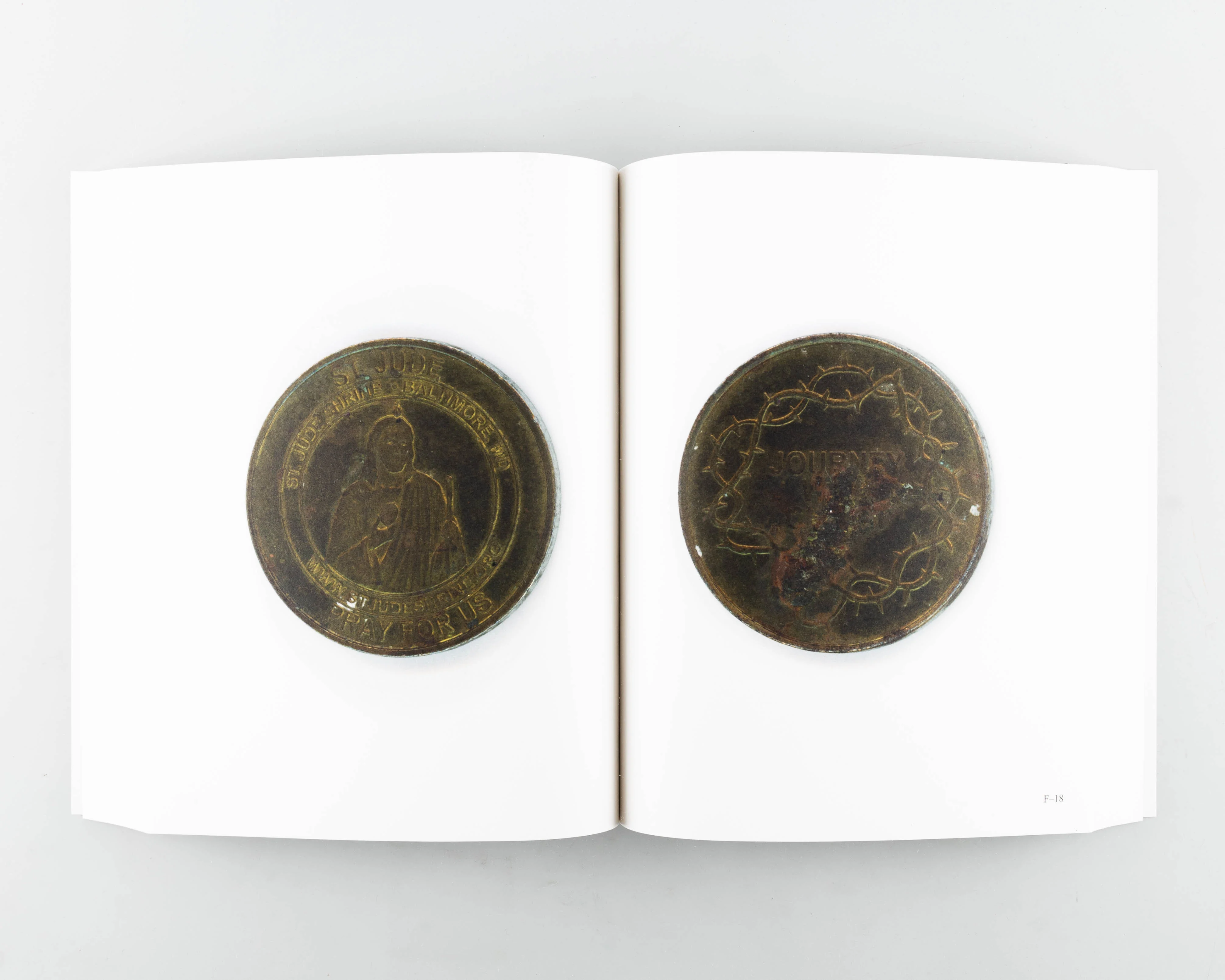 Slugs - Image 11